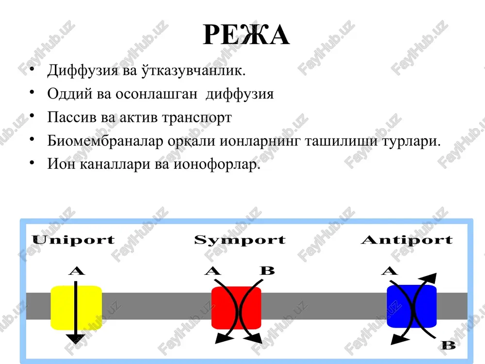 moddalar-ning diffuziyalanish oqimi moddaning kontsentratsiya farqi bo'yicha harakatla-nuvchi kuchiga to'g'ri proportsional hisoblanadi: d= rtu ga teng. r-gaz doimiysi, t-absolyut harorat, u-ion harakatchanligi. diffuziya tezligi fik qonuniga muvofiq belgilanadi, bu qonunga ko'ra diffuziya tezligi (dm/dt) kontsentratsiya gradienti (dc/dx) va modda diffuziyalanuvchi soha yuzasi (s) ga proportsional bo'ladi: dm/dt= - ds (dc/dx) bu erda d-proportsionallik koeffitsienti. shuningdek, moddaning hujayraga diffuziyalanib kirish tezligi kollender va berland tenglamasiga bo'ysunadi: dm/dt=ks (s-so) bu erda: s,so-hujayra ichki va tashqarisidagi modda kontsentratsiyasi, k-singdiruvchanlik konstantasi. membranalarning ion singdiruvchanligi (pronitsaemost pj ) va ion o'tkazuvchanligi (provodimost gj) kabi xossalarini farqlash zarur. membrananing bu ikki xossasi o'zaro bog'liq, singdiruvchanlikni o'zgarishi doimo o'tkazuvchanlikni o'zgarishiga olib keladi. singdiruvchanlik atrof muhit eritmalaridagi ionlar miqdoriga bog'liq emas. membrananing ion o'tkazuvchanligi esa membrana potentsialining kichik siljishlaridagi ionlar oqimi o'zgarishini xarakterlaydi va tashqi va ichki muhit eritmalaridagi j ionlar miqdoriga bog'liqdir. gj = zfdjj/dφ = dij/dφ gj - membrananing ion o'tkazuvchanligi, jj - j ionlari oqimi, …