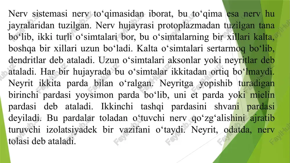 ola larining to‘plami), o‘rtasida esa kulrang modda (nerv hujayralarining to‘plami) joylashganligini orqa miyaning ko‘ndalang kesigidan ko‘rish mumkin. kul rang modda kesigi shaklan kapalakka o‘xshaydi. orqa miya oldingi qismlari oldingi ildizchalar, orqadagi qismlari kulrang modda oq modda orqa ildizcha oldingi ildizcha. orqa miyaning ko‘ndalang kesigi. 28 orqadagi ildizchalar deb ataladi. orqa miyada nerv tutam bo‘lib joylashgan, qo‘zg‘alish periferiya dagi nerv uchlaridan – skelet muskullari, teri, shilliq pardalar dagi nerv uchlaridan shu nerv tola larining tutamlari orqali nerv im pulslari shaklida bosh miyaga ye tib boradi va bosh miyadan peri feriyaga keladi. nerv tolalarining ana shu tutamlari o‘tkazuvchi yo‘llar deb ataladi. ketingi miya. ketingi miyaga uzunchoq miya, varoliy ko‘prigi va miyacha kiradi. uzunchoq miya bilan varoliy ko‘prigi orqa miyaning go‘yo bevosita davomidir. lekin shu bilan birga, uzunchoq miya orqa miyaga qaraganda hiyla murakkabroq funksiyani o‘taydi. uzunchoq miya orqali orqa ii iii vi iv v. odam bosh miyasining ko‘ndalang kesigi: i–bosh miya po‘sti; …