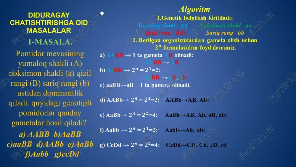 ar 1) genetik belgilash: sariq don aa yashil don aa tekis gultoj bb burishgan bb qizil gultoj cc oq gultoj cc 2) p: ota-onalarni o`zaro chatishtiramiz: a)♀aabbcc x ♂aabbcc ♂ ♀ abc abc abc abc abc abc abc abc abc aabbcc aabbcc aabbcc aabbcc aabbcc aabbcc aabbcc aabbcc 3) fenotip va genotipni aniqlaymiz. fen: 1:1:1:1:1:1:1:1 gen: 1:1:1:1:1:1:1:1 b) ♀aabbcc x ♂aabbcc ♂ ♀ abc abc abc abc abc aabbcc aabbcc aabbcc aabbcc abc aabbcc aabbcc aabbcc aabbcc fen: 1:1 gen: 1:1:1:1:1:1:1:1 no‘xat donining sariq rangi (a) yashil rangi (a), tekisligi (b) burishganligi (b), gultojibargining qizil rangi (c) oq rangi (c) ustidan dominantlik qiladi. quyidagicha genotipga ega formalarni chatishtirish natijasida hosil bo‘lgan no‘xatning fenotipini aniqlang: a) aabbcc x aabbcc b) aavbss x aavvss; diduragay chatishtirishga oid masalalar 1) uzun poya aa kalta poya aa qizil tojibarg bb oq tojibarg bb 2) chatishtirish olib boramiz: ♂aabb x ♀aabb g: ab x ab …