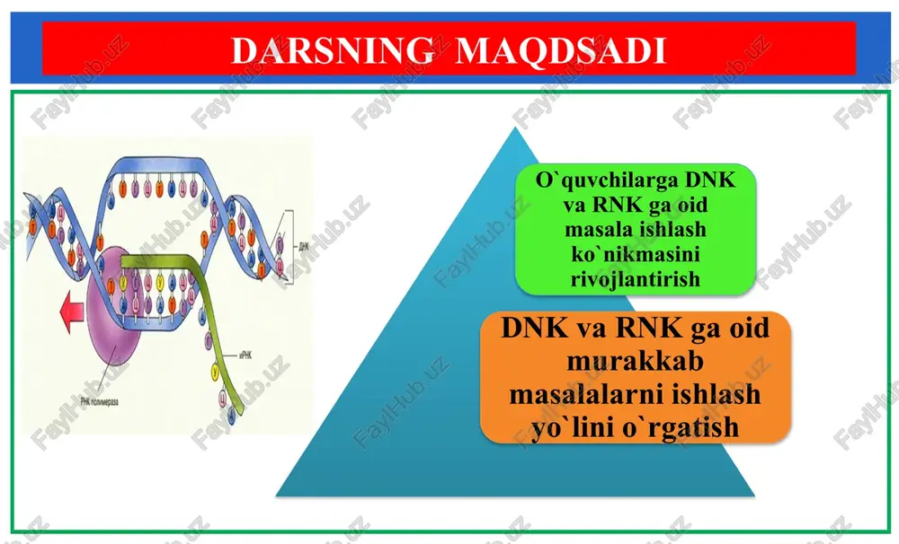 ____ 162 ta 100 % __________ x x = 3600 ta umumiy nukleotid 3600 : 2 = 1800 ta bitta zanjirdagi nukleotid. 1800 x 0,34 = 612 nm javob: b 4. i-rnk dan sintezlangan oqsil massasi 16800 daltonga teng. i-rnk sintezlangan dnkni 30% s tashkil qiladi. shu dnk qo’sh zanjiri yoyilayotgan vaqtda nechta vodarod bog’ uziladi? (bitta aminokislotaning og’irligi 120 d deb olinsin). 2184 b) 1092 c) 2500 d) 5000 dnk ga oid murakkab masalalarni ishlash usullari yechimi: 16800 / 120 = 140 ta aminokislota 140 x 3 = 420 ta nukleotid i-rnk da 420 x 2 = 840 ta nukleotid dnk da 100 % ----------- 840 ta 30 % ----------- x x = 252 ta c 252 ta c bo`lsa, 252 ta g bo`ladi 840 – (252 + 252) = 336 ta a va t 336 / 2 = 168 ta dan a va t 252 x 3 = …