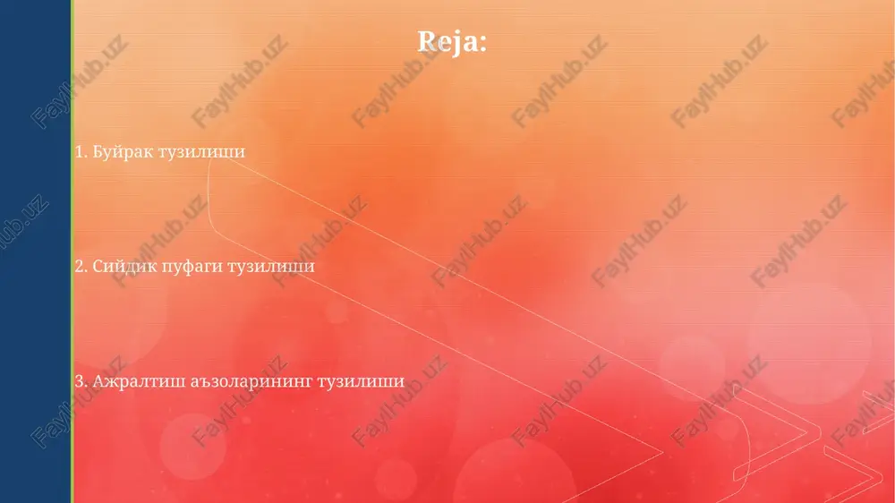 l epiteliy hujayralaridan tashkil topgan. buyrak piramidalari va toʻplamlari buyrak piramidalarining soni odatda 8-18 tagacha bo'lib, ularning tepasi buyrak kosasiga ochiladi va siydikni to'playdi. buyrak to'plamlari (kalislar) piramidalardan siydikni qabul qilib, buyrak havzasiga o'tkazadi; ular katta va kichik to'plamlarga bo'linadi. chiqarish a'zolari tuzilishi nefronlar, buyrakning funktsional birligi hisoblanib, glomerulus va tubulalardan iborat bo'lib, ularning soni taxminan 1 millionni tashkil etadi. inson tanasida ikkita buyrak mavjud bo'lib, ular kuniga taxminan 180 litr qonni filtrlaydi va 1-2 litr siydik hosil qiladi. e'tiboringiz uchun rahmat @taqdimot_robot image4.jpg image5.jpg image6.jpg image7.jpg image8.jpg image9.jpg image10.jpg image2.png image3.png