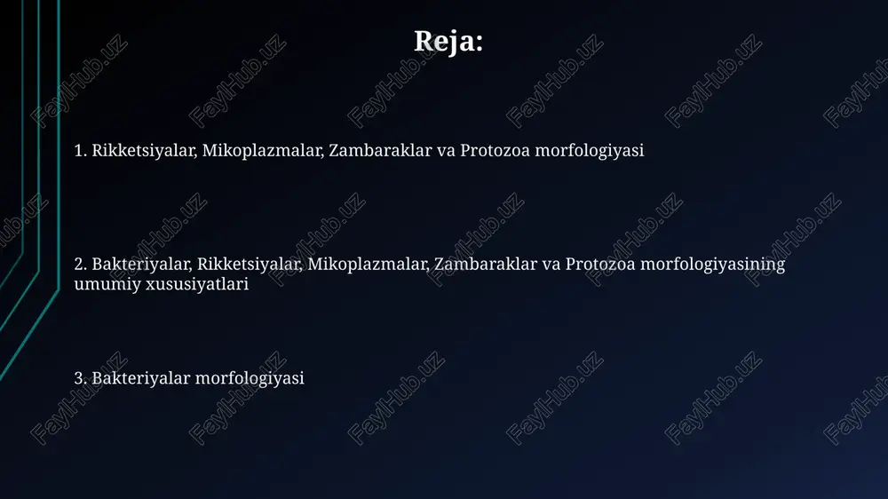 bakteriyalarning morfologiyasi - Page 2