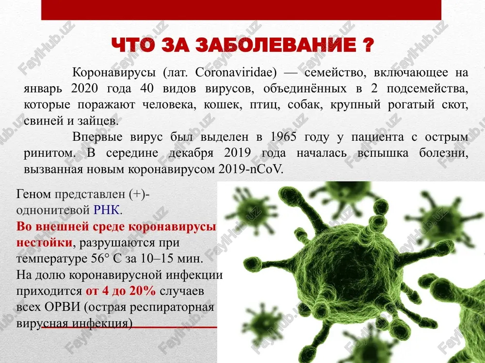 ey i drugix jivotnix. v issledovanii, opublikovannom gruppoy kitayskix uchenix 22 yanvarya, govorilos: "zmeya yavlyaetsya naibolee veroyatnim rezervuarom dlya 2019-ncov v dikoy prirode". predpolagaetsya, chto koronavirus mutiroval v organizme jivotnogo, posle chego poluchil vozmojnost zarajat cheloveka. istochnikom novogo koronavirusa okazalsya «mogilniy meshkokril» v saudovskoy aravii nashli istochnik novogo koronavirusa (mers-cov). fekalniy obrazets odnoy iz mestnix raznovidnostey letuchix mishey – «mogilnogo meshkokrila», sobranniy v neskolkix kilometrax ot doma, gde jila pervaya izvestnaya jertva vizivaemogo mers-cov blijnevostochnogo respiratornogo sindroma (mers). issledovanie s pomoshyu metodov ptsr i dnk-sekvenirovaniya viyavilo prisutstvie razlichnix podtipov koronavirusa v treti iz nix. odin obrazets fekaliy, prinadlejashiy mogilnomu meshkokrilu (egyptian tomb bat) i sobranniy v neposredstvennoy blizosti ot mesta jitelstva pervoy jertvi mers , soderjal virusniy genom, polnostyu sovpadayushiy s videlennim u bolnogo. 1. porajeniya dixatelnoy sistemi razlichnoy stepeni tyajesti - ot slabo virajennix simptomov do tyajeloy pnevmonii: lixoradka; kashel; odishka, zatrudnennoe dixanie; pnevmoniya; 2. atipichnie simptomi - diareya …