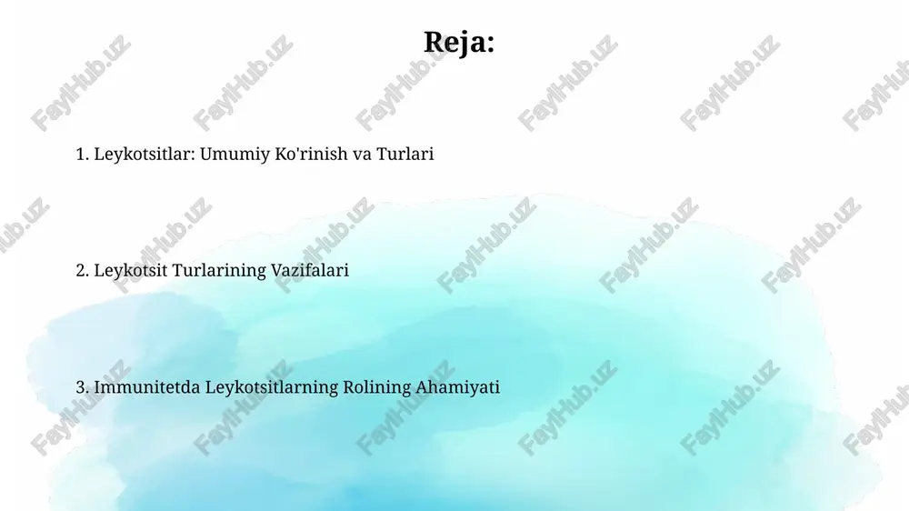 r bilan qoplangan mast hujayralari bilan o'xshash xususiyatlarga ega, lekin ularning qon aylanishidagi konsentratsiyasi 0.5-1%ni tashkil etadi va ular yallig'lanish reaksiyalarida muhim rol o'ynaydi. bazofillarning asosiy vazifalaridan biri geparin va gistamin kabi moddalarni chiqarishdir; geparin qon ivishining oldini oladi, gistamin esa qon tomirlarini kengaytirib, yallig'lanish jarayonini kuchaytiradi. agranulotsitlar: limfotsitlar limfotsitlar adaptiv immunitetning asosiy hujayralari bo'lib, antitelalar ishlab chiqaruvchi b hujayralari va infeksiyalangan hujayralarni o'ldiruvchi t hujayralarini o'z ichiga oladi. limfotsitlarning taxminan 20-40 foizi qonda aylanib yuradi va ular immunitet xotirasini shakllantirish orqali organizmning uzoq muddatli immunitetini ta'minlashda muhim rol o'ynaydi. agranulotsitlar: monotsitlar monotsitlar suyak koʻmigida hosil boʻladi va qonda 24-36 soat aylanib yuradi, keyin esa toʻqimalarga oʻtib, u yerda makrofaglarga aylanadi va 5-7 kun yashaydi. monotsitlar tarkibida lizosomalar koʻp, bu ularga oʻlgan hujayralar, bakteriyalar va boshqa yirik zarrachalarni fagotsitoz qilish imkonini beradi, yaʼni ularni yutib, hazm qiladi. leykotsitlarning hosil bo'lishi (gematopoez) leukotsitlar gemopoezi suyak iligida, ayniqsa, granulotsitlar va monotsitlar uchun …