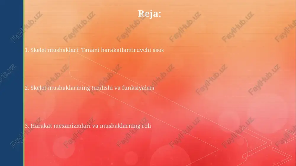boshlanadi. atp molekulasi miozin boshchasiga bog'lanib, energiyani ajratadi. bu energiya miozin boshchasining aktin filamentiga bog'lanishiga va "ishlash zarbasi"ni amalga oshirishiga imkon beradi. neyromushak birikmasi: harakat boshlanishi neyromuskul birikmasida harakat potensiali akson uchidan asetilxolinning chiqarilishiga olib keladi, bu esa motor plastinkasida natriy ion kanallarini ochib, depolarizatsiyani boshlaydi. asetilxolin esteraza fermenti sinaptik bo'shliqda asetilxolinni tezda gidrolizlaydi, shuning uchun mushak qisqarishi faqat 1-2 millisekund davom etadi, keyin esa tugaydi. energiya manbalari: mushak faoliyatini ta'minlash mushak faoliyati uchun energiya asosan atp (adenozin trifosfat) dan olinadi, u mushak hujayralarida juda cheklangan miqdorda saqlanadi va tezda tugaydi. kreatin fosfat tizimi atp ni tezda to'ldirish uchun ishlatiladi, kreatin fosfat molekulasi adp ga fosfat guruhini beradi va bir necha soniya ichida atp hosil qiladi. mushaklarning turlari: tolalar klassifikatsiyasi skeletal mushaklar tolalarining uchta asosiy klassi mavjud: i tur (sekin qisqaruvchi), iia tur (tez oksidlovchi-glikolitik) va iix tur (tez glikolitik) tolalar. i tur tolalari mitoxondriyalar zichligini yuqori darajada ushlab turadi, …