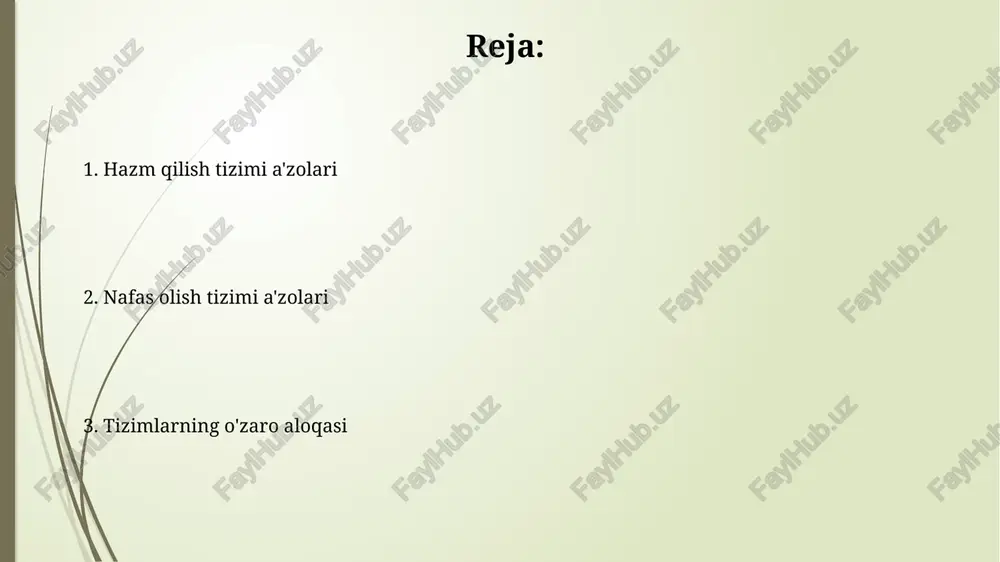a'zi b guruh vitaminlarini ishlab chiqaradi, bu esa organizm uchun muhim. jigar: hazm tizimidagi roli jigar safro ishlab chiqaradi, bu modda yog'larni emulsiya qiladi, bu esa ingichka ichakda fermentlar ta'sirida yog'lar parchalanishini osonlashtiradi. taxminan 800-1000 ml safro har kuni ishlab chiqariladi. jigar glyukozani glikogenga aylantirish orqali qondagi qand miqdorini tartibga soladi va zarurat tug'ilganda, glikogenni glyukozaga aylantirib, qonga chiqaradi, bu gomeostaz uchun muhim. o't pufagi va o't yo'llari o't pufagi 50-80 ml gacha o'tni saqlaydi va safro kislotalarini konsentratsiyalab, o't yo'llari orqali o'n ikki barmoqli ichakka chiqaradi, bu yog'larni hazm qilishda muhim rol o'ynaydi. o't yo'llari jigar ichida joylashgan kichik kanallardan boshlanib, umumiy o't yo'liga birlashadi, u esa pankreatik kanal bilan birga vater so'rg'ichida o'n ikki barmoqli ichakka ochiladi. oshqozon osti bezi: fermentlar va gormonlar oshqozon osti bezi, taxminan 1-1,5 litr ishqoriy pankreatik suyuqlik ishlab chiqaradi, bu ovqat hazm qilish uchun muhim fermentlarni, masalan, amilaza, lipaza va proteazalarni o'z ichiga …