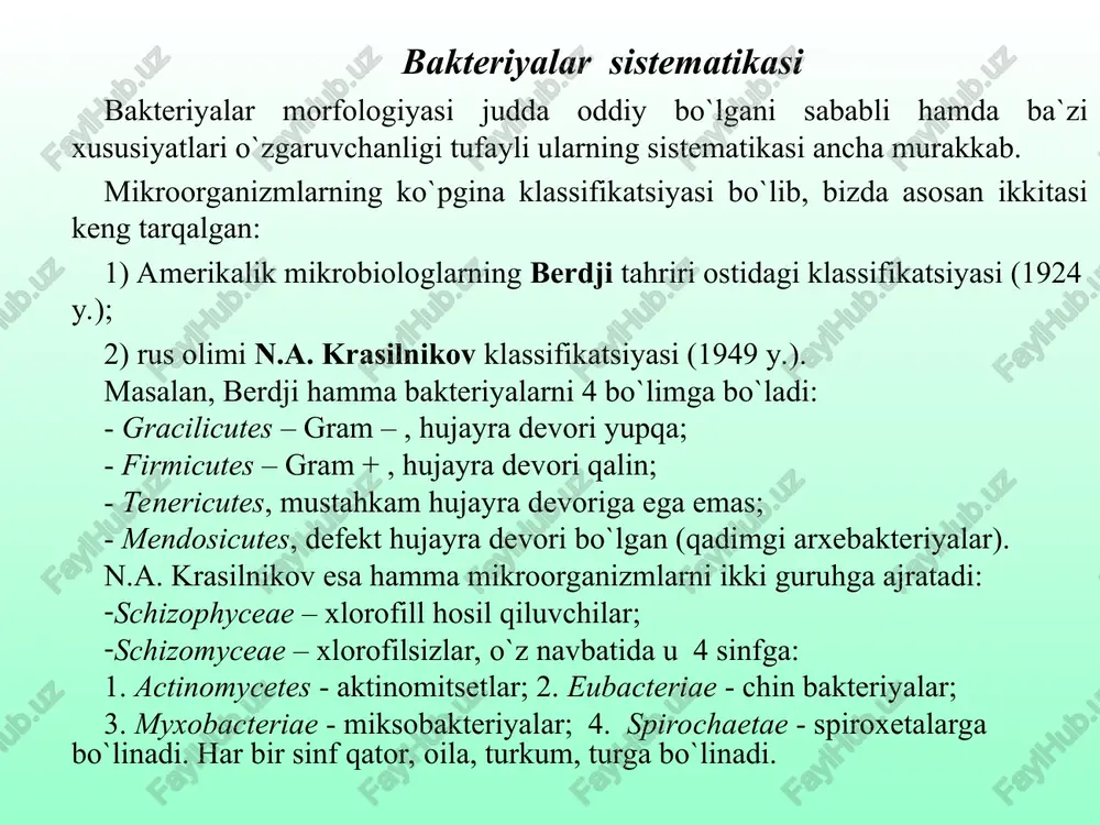 ega, sharsimon, ipsimon yoki tayoqchasimon bakteriyalar kiritilgan bo’lib, ular harakatchan yoki harakatsiz, endospora hosil qilmaydi. lekin meva tana hosil qiluvchi miksobakteriyalar miksosporalar hosil qiladi. ko’payishi kurtaklanish yoki binar bo’linib sodir bo’ladi. bo’limga 3 sinf kiradi. grasilicutes bo’limiga ssotobasteria sinfi oxyphotobasteria sinfi anosyphotobasteria ii bo’lim - firmisutes (firmis - so’zi lotincha pishiq degan ma’noni anglatadi, cutes - po’st, teri). bu bo’limga hujayra devori grammusbat tipida, sharsimon, tayoqcha yoki ipsimon shaklli, spora hosil qiluvchi yoki sporasiz bakteriyalar, aktinomitsetlar hamda ularga yaqin prokariotlar kiradi. firmisutes bo’limiga firmibasteria sinfi tallobasteria sinfi iii bo’lim - tenerisutes bu bo’limga rigid (qattiq) hujayra devori yo’q, grammanfiy, peptidoglikan sintezlamaydigan prokariotlar, odam, hayvon va o’simliklarda kasallik ko’zg’atuvchi mikoplazmalar kiradi. ularda hujayra devori yo’q. hujayra membranasi 3 qavatdan iborat bo’lib, oval yoki sharsimon shaklli, ba’zilari ipsimon shoxlangan bo’lishi mumkin. kattaligi 125-250 nm, bo’lib, eng kichik bakteriyalarga yaqin. viruslar kabi bakterial filtrdan oson o’tadi. ular mollisutes (mollis-lotincha yumshoq, kutes-teri yoki po’st) …