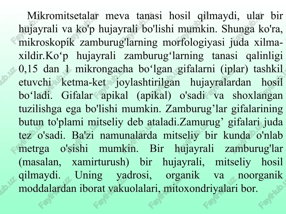 jayrasiz tuzilishga ega. jinssiz ko‘payishi sporangiospora hosil qilish bilan boradi. jinsiy ko‘payishi izogamiya, hujayra devorida xitin va xitozan bor. 5. askomitsetsimonlar (ascomycetes) – mitseliysi yaxshi rivojlangan, ko‘p hujayrali. jinssiz ko‘payishi konidiyasporalar yordamida. jinsiy ko‘payishi gametangiogamiya, jinsiy sporalar endogen yo‘l bilan xaltachalar ichida rivojlanadi. hujayra devorida xitin va glyukan bor. achitqi zamburug‘larida esa xitin va manin moddasi bor. 6. bazidiomitsetsimonlar (basidiomycetes) – mitseliysi ko‘p hujayrali. jinssiz ko‘payishi konidiyasporalar yordamida. jınsisy ko‘payishi – somatogamiya. jinsiy ko‘payish sporalari bazidiya deb ataluvchi hujayralar ustida sodir bo‘ladi. 7. deyteromitsetsimonlar, yoki takomillashmagan zamburug‘lar (deuteromycetes) – bir hujayrali, mitseliysi yaxshi taraqqiy etgan. jinssiz ko‘payishi konidiyasporalar yordamida. jinsiy ko‘payishi o‘rganilmagan. hujayra devorida xitin va glyukan uchraydi. oziqlanish va hayotning xususiyatlari mikroskopik zamburug'larning mikrobiologiyasi o'ziga xos xususiyatlarga ega. sitoplazmatik membrana ustidagi gifa hujayralarida polisaxarid xitindan iborat membrana mavjud. hujayra sitoplazmasi yadro (bir yoki bir nechta) va organellalarni o'z ichiga oladi. zamburug'larni oziqlanishning saprotrof (o'lik organik moddalar bilan oziqlanish) va …