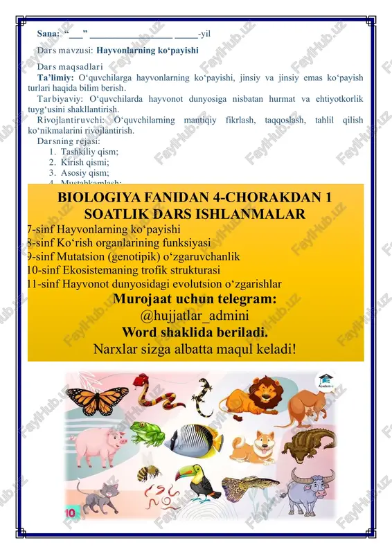 o‘z naslini qoldirish orqali tur hayotiyligini saqlab qoladilar. ko‘payish — bu tirik organizmlarning o‘ziga o‘xshash yangi organizmlar yaratish jarayonidir. hayvonlar dunyosida ko‘payishning xilma-xilligi ularning turli biologik xususiyatlari, yashash muhiti va taraqqiyot darajasiga bog‘liq. ko‘payish organizmlarning eng muhim xossalaridan biri bo‘lib, u hayotning uzluksizligini ta’minlaydi. ko‘payishning ikki asosiy turi mavjud: 1. jinsiy ko‘payish 2. jinssiz (vegetativ yoki oddiy) ko‘payish 1. jinsiy ko‘payish jinsiy ko‘payish hayvonlar orasida eng keng tarqalgan usul hisoblanadi. bu usulda yangi organizm ikki ota-onaning — erkak va urg‘ochi individlarning jinsiy hujayralari (gametalar) qo‘shilishi orqali hosil bo‘ladi. erkak organizm spermatozoid hosil qiladi, urg‘ochi esa tuxum hujayrani (ovum) ishlab chiqaradi. ushbu hujayralar bir-biri bilan qo‘shilganda urug‘lanish yuz beradi. urug‘lanish urug‘lanish — bu spermatozoid va tuxum hujayra qo‘shilishi jarayoni bo‘lib, uning natijasida zigota hosil bo‘ladi. zigota — bu rivojlanib, yangi individga aylanadigan hujayra. jinsiy ko‘payish ikki xil bo‘ladi: • ichki urug‘lanish – urug‘lanish urg‘ochining organizmi ichida sodir bo‘ladi (masalan, odam, mushuk, …