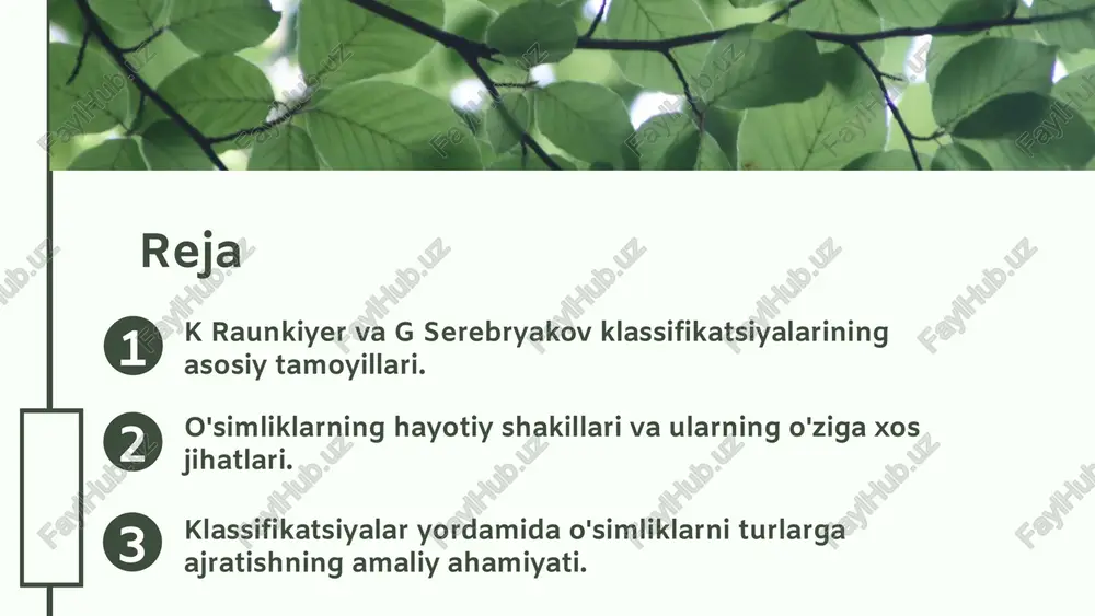 bernd 📷 dittrich on unsplash 04.26.24 04.26.24 o'simliklarning hayotiy shakillari o'simliklarning hayotiy shakillari ularning rivojlanish bosqichlari, ekologik roli va turlari bilan bog'liq. bu shakllar o'simliklarning turli muhitlarda moslashuvi va ekologik funktsiyalarini bajarishiga yordam beradi. hayotiy shakllar quyidagilarga bo'linadi: doimiy o'simliklar, yilliklar va bir yilliklar. har bir tur o'sish davri, yashash joyi va ekologik roli bilan farqlanadi. masalan, doimiy o'simliklar uzoq muddat yashaydi, yilliklar esa bir yil ichida rivojlanadi. o'simliklarning hayotiy shakillari ekosistemalarda muhim ahamiyatga ega. ular oziq-ovqat zanjirida, biologik xilma-xillikda va ekologik muvozanatda rol oynaydi. ularning shakli va turi ekosistemalarning barqarorligini ta'minlashda muhimdir. photo by ales krivec on unsplash 04.26.24 1 2 3 04.26.24 hayotiy shakillarning o'ziga xos jihatlari har bir hayotiy shaklning xususiyatlari har bir o'simlik hayotiy shakli o'ziga xos morfologik va ekologik xususiyatlarga ega. masalan, buta shakli keng tarqalgan bo'lib, keng joylashuvi va rivojlangan ildiz tizimi bilan ajralib turadi. yog'inlar va muhit sharoitlariga moslashgan o'simliklar, masalan, quruq joylarda …