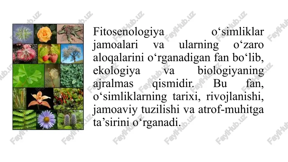 va ekologiya bir-biriga chambarchas bog‘liq fanlardir. fitosenologiya o‘simliklarning ekologik sharoitlarga moslashishini o‘rganadi. ekologiya esa tabiiy muhit va organizmlar orasidagi o‘zaro aloqalarni tahlil qiladi. fitosenologiyaning amaliy ahamiyati fitosenologiyaning amaliy ahamiyati o‘simliklar jamoalarini o‘rganish orqali tabiatni muhofaza qilish, resurslardan samarali foydalanish va ekologik balansni saqlashga yordam beradi. shuningdek, bu fan qishloq xo‘jaligida ham qo‘llaniladi. fitosenologiya fanining rivojlanish tarixi geobotanika fan sifatida xviii asr oxiri xix asr boshlarida rivojlana boshladi. bu fanning rivojlanish tarixi o‟simliklar geografiyasi hamda ekologiyasi bilan chambarchas bog‟langan. «o‟simliklar geografiyasi» fani a. gumboldning 1805 yilda nashr etilgai “idey geografii rasteniy” ( o‟simliklar geografiyasi to‟grisida g‟oyalar) asarida to‟liq berilgan. shu bilan birga, asarda geobotanikaga oid fikrlar ham bayon etilgan edi. xix asr boshlarida g‟arbiy yevropaning o‟simliklar qoplamini geografik yo‟nalishda o‟rganish ishlari boshlandi. akademik frants ivanovich ruprext (1833-1878) va uning hamkasbi kiev universiteti professori ilya grigorevich borshov (1814-1870) 1857-1858 yillarda orol dengizi qirg‟oqlariga va sirdaryo havzasiga ekspeditsiya tashkil qiladi. ushbu ekspeditsiyadan maqsad …