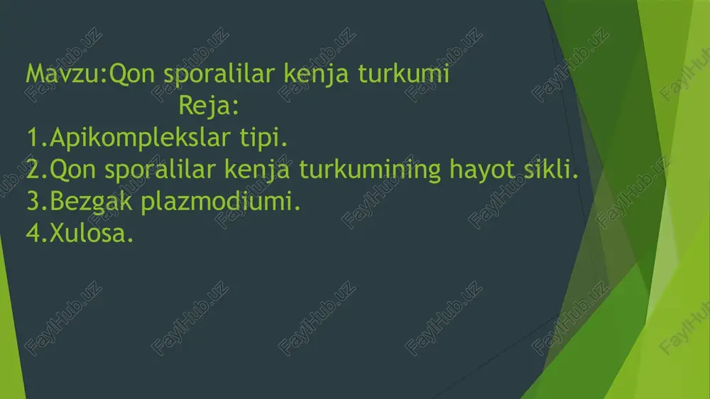 qon hujayralari - eritrotsitlarida parazitlik qiladi. bu turkumga 100 ga yaqin tur kiradi. qon sporalilar eymeriyasimonlar singari hujayra ichida yashaydigan parazitlar bomsa-da, lekin ulaming hayot sikli bir necha xo‘jayinda o ‘tadi. masalan, bu kenja turkumning eng muhim vakili odamda bezgak kasalligini keltirib chiqaradigan bezgak plazmodiysining rivojlanishi ikkita xo'jayinda o‘tadi. jinssiz rivojlanishi hamda makro-va mikrogametotsitlar odam qizil qon tanachalarida yetishadi. bezgak chivinida (anopheles) esa jinsiy rivojlanish ketadi bezgak plazmodiumlarini birinchi marta 1879-yilda rus olimi v.i. afanasev va 1880-yilda fransuz olimi alfons laveren kashf etganlar. bezgak kasalini chivinlar yuqtirishini esa 1895-yilda ingliz olimi r. ross va italiyalik olim j. grassi aniqlashgan. odamlarda bezgakning asosan 4 ta turi parazitlik qiladi: 1. plasmodium vivax - uch kunlik bezgak qo‘zg‘atuvchisi, ya’ni isitma har 48 soatdan keyin qaytarilib turadi. 2. plasmodium malariae — to 'rt kunlik bezgak qo‘zg‘atuvchisi, ya’ni isitma har 72 soatdan keyin qaytarilib turadi. plasmodium falcipharum - 24-48 soat oralab xuruj qilib turadigan va …