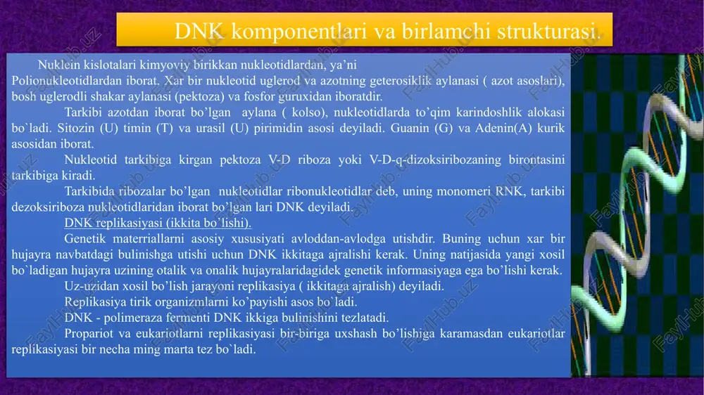 replikasiya ( ikkitaga ajralish) deyiladi. replikasiya tirik organizmlarni kupayishi asos bo`ladi. dnk - polimeraza fermenti dnk ikkiga bulinishini tezlatadi.propariot va eukariotlarni replikasiyasi bir-biriga uxshash bulishiga karamasdan eukariotlar replikasiyasi bir necha ming marta tez bo`ladi. nuklein kislotalar yuqori molekulali birikmalar bulib, juda katta molekulyar ogirlikka ega. tirik organizmlardagi irsiy belgilarning nasldan – naslga utishi, oqsillar biosintezi kabi xayotiy muxim prosesslar nuklein kislotalarning faoliyati bilan boglik. shuning uchun xam keyingi yillarda nuklein kislotalarni urganishga aloxida e’tibor berilmokda. nuklein kislotalarni bundan 100 yil ilgari shveysariyalik olim fridrix misher aniklagan. bu kislotalar birinchi marta hujayra yadrosidan ajratib olinganligi sababli nuklein (nukleus – yadro) deb atalgan. dnk replikasiyasi (ikkita bulishi). purin asoslari nuklein kislotalar tarkibida ikki xil purin asoslari, ya’ni adenin va guanin uchraydi. bu birikmalar molekulasi pirimidin va imidazal halqasidan tashkil topgan purinning xosilalari xisoblanadi: pirimidin asoslari pirimidin asoslarining xammasi pirimidin birikma xosilasidir. nuklein kislotalar tarkibida pirimidin asoslaridan sitozin, urasill, timin, 5 – metilsitozin …