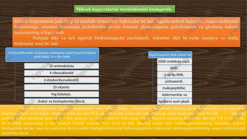 dan iborat. xar bir metabolitik jarayonni boshqarishni oddiy usuli muxitga nofaktorlarni ta’sir etdirishga asoslangan. agar muxit konsentrasiyasi kamaytirilsa muxit reaksiyasi tezlashadi, aks xolda metabolitik yo’l tezlashadi. genetik monipulyasiyadagi seleksiya ishlari konsentrasiyani oshirishga asoslangan. metabolizm jarayonlarini boshqarishning eng qulay usuli fermentlar aktivligini qayta bog’lanish prinsipini boshqarishga asoslangan. biroq, biosintez jarayonida konsentrasiyasini va aktivligini pasaytiradi va oxirgi maxsulotni sintez bo’lishini to’xtatadi. shunday qilib, biosintez jarayonining tezligi oxirgi maxsulotning talab qilinishiga bog’lik. agarda triptofanning biosintez jarayonida muxitga qo’shilsa jarayon to’xtaydi. fermentlarning aktiv va passiv formasi, oqsillar bilan kimyoviy gruppalarning kovalent bog’lanishiga xam bog’lik. hujayralarda biokimyoviy reaksiyalarni katalitik fermentlarni tezligini oshirish yuli bilan aktivlashtirish asosan 2 xil usulda olib boriladi: fermentlar molekulasiga sekund va minutlar mobaynida individual ta’sir etishi. jarayonlarni sintezi va parchalanishini tezligini idora etadigan bir kancha muxitlarning minutlari va soatlar mobanida ta’sir etishi. fermentlar sintezining induksiyasi va repressiyasi. mikrob hujayralardagi ayrim fermentlar ozik muxitidan qat’iy nazar moddalarni sintez kiladi. ana shunday o`zgaruvchan …