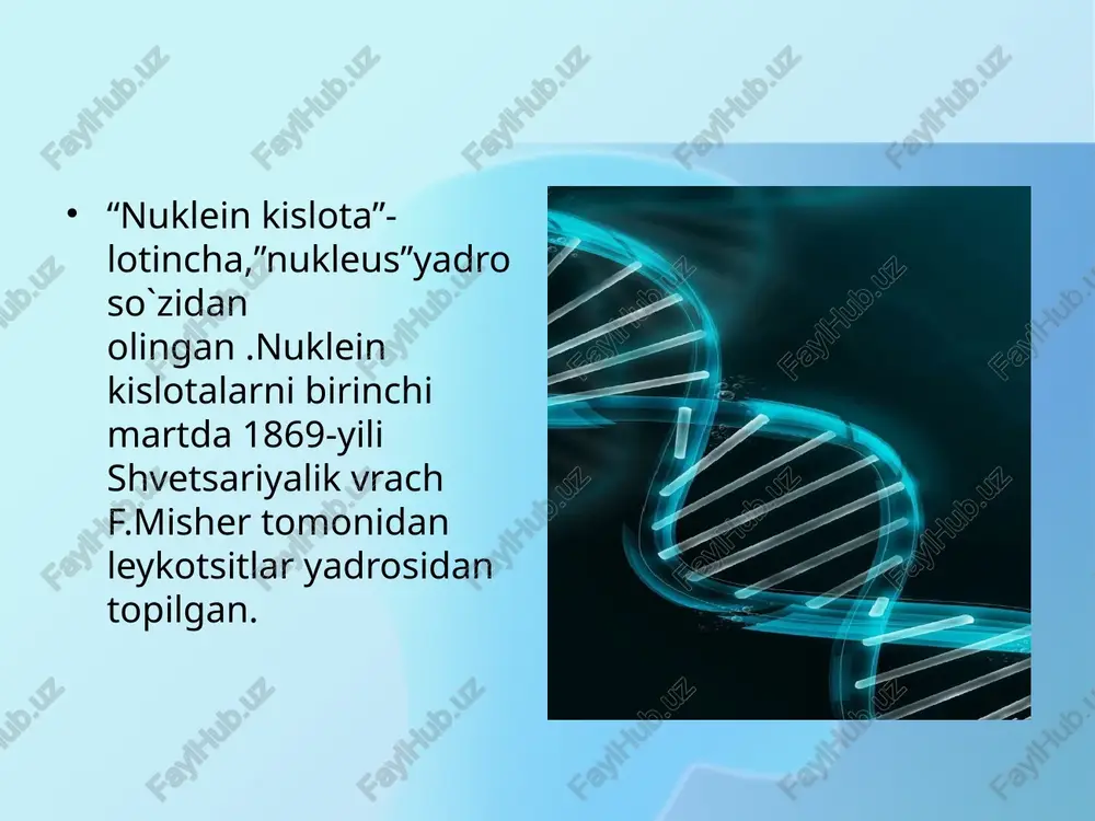 n,uglevod riboza va fosfat kislota qoldig`i bo’ladi. atfda odatdagi nukleotidlardan farqli holatda bitta fosfat kislota qoldig’i o’rniga 3ta fosfat kislota qoldig`i bo`ladi.uchta fosfat kislota tutuvchi atf molekulasi ko`p energiyaga egadir.atf tarkibida bitta fosfat kislotaning ajralishi 40 kj energiya chiqishiga imkon beradi. atf hujayraning maxsus organoidi mitoxondriyalarda sintezlanadi. atf hujayradagi energiya almashinuvida asosiy rol o`ynaydi. u har qanday hujayra funksiasini energiya bilan ta`minlab beruvchi bevosita manbadir. dnk razmeri. organizm dnk (p.n.) genlar soni sv40 (hayvon virusi) 5,0 ּ10³ 5 t4 (bakteriofag) 2,0 ּ105 200 e. soli (bakteriya) 4,6 ּ 106 4600 odam gaploid hujayrasi 2,8 ּ 109 30000 - 40000 nuklein kislota uyga vazifa mavzu ohiridagi savollarga javob berish va misollarni bajarish!!! e`tiboringiz uchun rahmat!!! dnk rnk atf image1.png image2.jpeg image3.jpg image4.jpeg image5.jpeg image6.jpeg media1.mp4 image7.png /docprops/thumbnail.jpeg