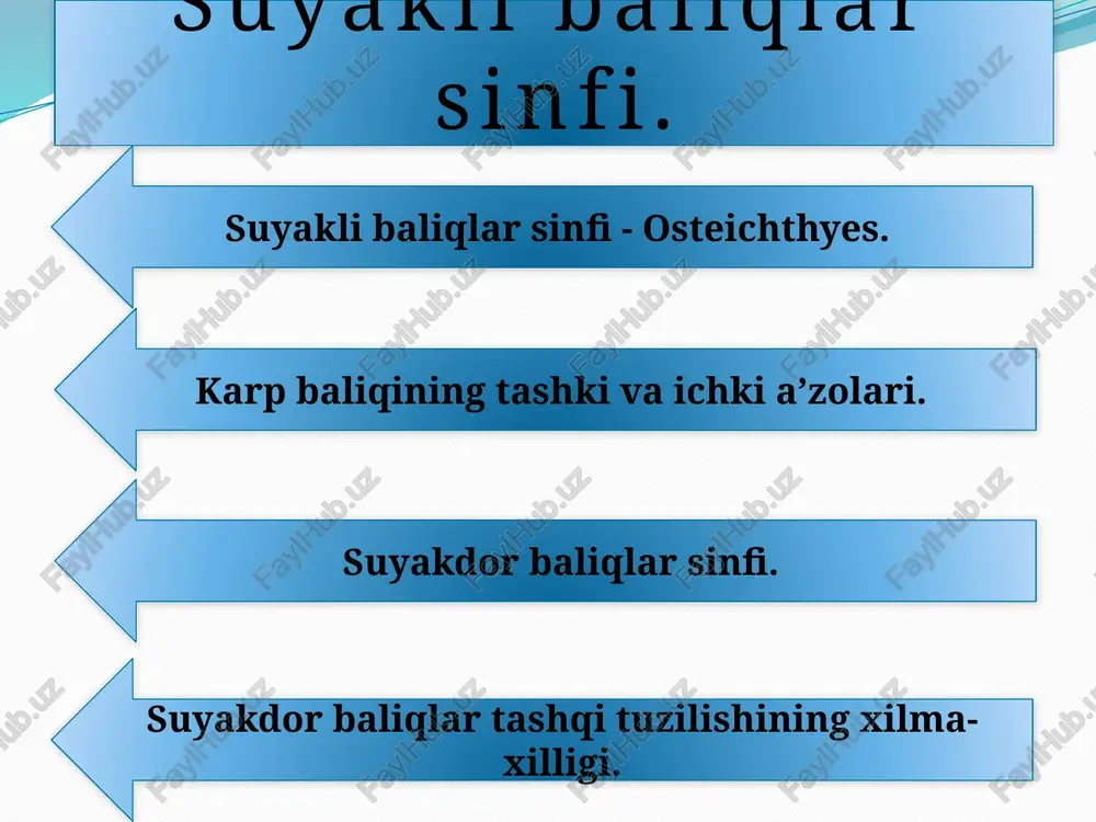 hagida koʻr (pilorik) oʻsimtalar paydo boʻlgan. togʻayli baliqlar yuragidagi arterial konus oʻrniga suyakli baliqlarda aorta piyozchasi paydo boʻlgan. karp baliqining tashki va ichki a’zolari. suyakli baliqlar gavdasining shakli har xil boʻladi. zogʻora baliqning ustki ensa boʻlimi yon tomonlaridan birmuncha qisilib doʻnglik (boʻrtma) hosil boʻlgan. tananing qolgan qismi dum qismining oldingi chegarasigacha bir xil kenglikda boʻlib, keyin sekin-asta torayib, dum qismiga aylanadi. boshining ikki yon tomonida jabra qopqoqlari joylashgan boʻlib, ularning keyingi qirralari bosh bilan tana boʻlimlari oʻrtasidagi chegara hisoblanadi. zogʻora baliqning tashqi tuzilishi: 1-jabra qopqogʻi 2-burun teshigi 3-yon chizigʻi 4-koʻkrak suzgich qanoti 5- qorin suzgich qanoti 6-anal teshigi 7-orqa suzgich qanoti 8-anal suzgich qanoti 9-dum suzgich qanoti 10-ogʻiz teshigi orqa chiqaruv teshigi dum boʻlimining oldingi chegarasidir. orqa chiqaruv (anal) teshigining bevosita orqa tomoniga oʻrnashgan siydik-tanosil soʻrgʻichida jinsiy teshigi va uning orqasida siydik teshigi ochiladi. koʻkrak juft suzgich qanotlari, barcha baliqlardagiga oʻxshash gavdaning ikki yonida jabra yoriqlari orqasida, qorin juft suzgich …