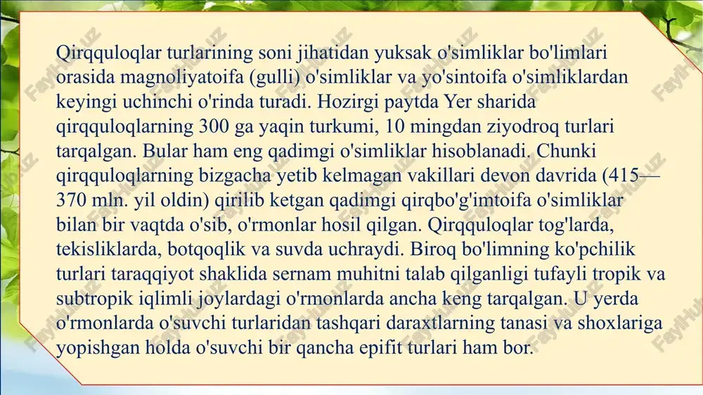 izlar uchraydi. daraxtsimon paporotniklarda tipik ildizlardan tashqari poyasining asosida havo ildizlari ham taraqqiy etgan bo'ladi. salviniyalar (salvinia) turkumining ayrim vakillarida ildizlar butunlay reduksiyalanib ketgan. poyalari monopodial tipda shoxlangan ayrim vakillarida dixotomik shoxlanishni ham kuzatish mumkin. poyasining tuzilishidagi xarakterli belgilaridan yana biri uning har xil tuklar, tangachalar bilan qoplanganligidir. qirqquloqlarning poyasidagi o‘tkazuvchi sistemasi sifanostel shaklda tuzilgan. biroq eng qadimgi qirqquloqlarda va hozirgi qirqquloqlardan, masalan, sxizeydoshlarda (schizoaceae), gimenofilldoshlarda (hymenophyllaccae) o'tkazuvchi sistemasining primitiv shakldagi protostel holda bo'lishi ularning riniofitalar bilan filogenetik bog'liqligidan darak beradi. ularga xos belgilardan yana biri barglarining yirik bo'lishi va o'sish nuqtasining poyadagidek uchki qismida joylashganligidir. bu jihatdan ular plauntoifalardan va qirqbo'g'imtoifalardan farq qiladi. barglari tallomining o'zgarishidan kelib chiqqanligi jihatidan ham bular riniyatoifalar bilan filogenetik bog'langan. ayrim qirqquloqlarning bargi 30 m gacha uzunlikda bo'ladi. qirqquloqlarning ko'pchiligida barg ikkita funksiyani, ya’ni ayrimlarida fotosintez va spora hosil qilish vazifasini bajarsa, boshqalarida spora hosil qiluvchi barglari xlorofilini yo'qotib, faqat jinssiz ko'payish vazifasini o'taydi …