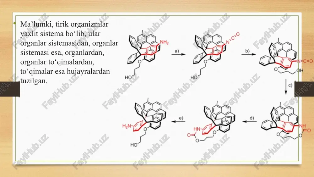 xborotni saqlash, irsiyatni keyingi avlodga o‘tkazish vazifasini bajaradi. lipidlar hujayraning biologik membranasi, hujayra organoidlarining tuzilishida ishtirok etadi. oqsillar hujayrada sodir bo‘ladigan barcha biokimyo viy jarayonlarni boshqarish va katalizator sifatida mazkur jarayonni jadal borishida ishtirok etadi. hayotni molekula darajada o‘rganishning ahamiyati. hayotni molekula darajada o‘rganishda asosiy e’tibor yerda hayotning paydo bo‘lishi va rivojlanishi, tirik organizmlarning yashashi uchun qulay muhitning vujudga kelishiga zamin yaratadigan fotosintez jarayoniga qaratiladi. quyosh nuri ta’sirida xlorofi ll ishtirokida anorganik moddalardan organik moddalarning sintezlanishi fotosintez jarayoni ekanligi sizga ma’lum. fotosintez jarayonida quyoshning yorug‘lik energiyasi organik birikmalarning tarkibidagi kimyoviy bog‘lar energiyasi shaklida jamlanadi. mazkur organik birikmalarning parchalanishi natijasida hosil bo‘lgan energiya hisobiga barcha tirik organizmlarning yagona va universal energiya manbayi makroergik bog‘larga ega atf (adenozintrifosfat) sintezlanadi. atf barcha tirik organizmlar, ayniqsa, geterotrof organizmlar uchun asosiy energiya manbayi bo‘lib xizmat qiladi. fotosintez jarayonining mukammal o‘rganilishi kelgusida sayyoramizda hayotning saqlanib qolishi, ekologik muammolarning oldini olish, qishloq xo‘jaligi ekinlarining hosildorligini orttirish omillarini …