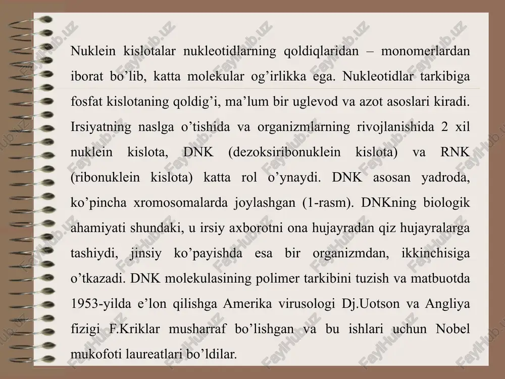 8% mikroelementlar: k, p, s, ca, mg, cl, na. 1,9% ultramikroelementlar: cu, i, zn, co, br. 0 ,01% 6 anorganik birikmalar tirik organizmlar xujayralarini tarkibining eng kup kismini anorganik moddalardan suv tishkil etadi. suv organizmga tashki muxitdan tushadi, bundan tashkari xayvonlarda suv organizmdagi yoglarning, uglevodlarning va oksillarning parchalanishi natijasida xam xosil buladi. xujayralarda suv tsitoplazmada va unda joylashgan organoidlarda, vakolalarda, yadroda va xujayralar oraligida mavjud. . vazifalari: 1. erituvchi 2. moddalar transporti 3. ximiyaviy reaktsiyalar uchun muxit xosil kiladi 4. xujayra strukturalarining xosil bulishida rol uynaydi 7 lipidlar (yoglar) bir kator yog'lar organik birikmalar xisoblanib, suvda yaxshi erimaydigan buladi, ammo polyarsiz organik eritmalarda (benzolda, benzinda va b.k.) yaxshi eriydigan buladi. murakkab lipidlarga kiradi: lipoproteidlar, glikolipidlar, fosfolipidlar. yog'lar – bular lipidlarning bir kurinishi bulib, glitserinning murakkab efirlari va yog' kislotalaridan tashkil topgan. xujayralarda yog'lar 1 dan 5% gacha uchraydi. vazifalari: 1. energetik -1 g yogning oksidlanishada 38,9 kdj energiya ajraladi 2. …