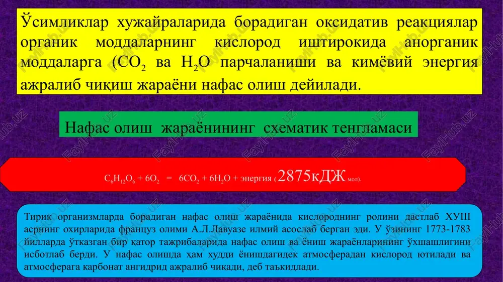 i sintetik reaktsiyalarni energiya bilan ta'minlashi mumkinligi isbotlandi.umuman o'simliklarning nafas olishi muhim fiziologik jarayon bo'lib, u qorong'ilik yoki yorug'likdan qatiy nazar tirik xujayralarda doimiy xarakterga ega. nafas olish koeffitsenti o'simliklarning nafas olish jarayonida ajralib chiqqan karbonat angidridning yutilgan kislorodga bo'lgan nisbatiga—nafas olish koeffitsienti deyiladi (nk) biologik oksidlanish jarayonida uglevodlardan tashqari boshqa organik moddalar (yog'lar, yog' kislotalari, oqsillar va boshqalar) ham ishtirok etishi mumkin. shuniig uchun nafas olish jarayonida ishtirok etadigan organik modda turiga qarab nafas olish koeffitsientining darajasi ham har xil bo'ladi. parchalanayotgan organik moddalar turini nafas olish koefitsentiga ta'siri parchalanayotgan organik moddalar nafas olish koefitsenti uglevodlar ═1 yog' kislota lari va oqsillar 1 nafas olish jarayonida uglevodlar ishlatilsa, koeffitsient birga teng bo'ladi: s6n 12o6 + 6o2 = 6s02 + 6n2o + energiya nafas olish jarayonida yog' kislotalari va oqsillar ishlatilsa, koeffitsient birdan kichik bo'ladi: stearin kislotasining biologik oksidlanishi: s18n36o +2602 = 18so2 +18n2o +energiya nafas olish jarayonida organik kislotalar …
