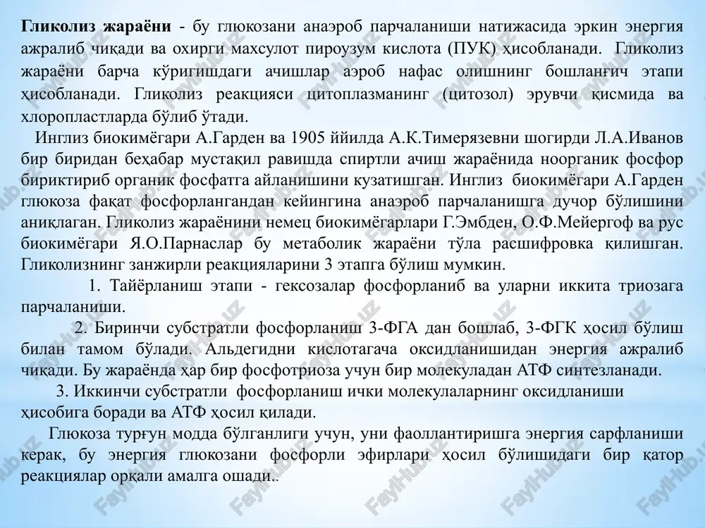 atizomeraza fermenti ishtirokida fruktozo- 6-fosfatga aylanadi. fruktoza 6-fosfat 6-fosfo-frukto-kinaza fermenti va yana bir molekula atf bilan qo'shilib, ikkinchi marta fosforlanadi va fruktozo-1,6-bifosfat hosil bo'ladi. fruktozo-1,6-bifosfat fruktozani turg'un bo'lmagan shakli va fosfat gruppalari simmetrik joylashganligi uchun osonlik bilan aldolaza fermenti yordamida ikkita fosfotriozaga parchalanadi. tayyorgarlik etapida geksoza molekulalarini ikki marta fosforlanish hisobiga faollashadi va furanoza shaklidan 3-fga va fdoa hosil bo'ladi. glikoliz jarayonidagi bu yagona oksidlanish reaktsiyasi bo'lib, fruktozo-1,6- bifosfat oksidlanib, doaf va 3-fgk hosil bo'lyabdi. hosil bo'lgan 3-fgk va doaf triofosfatizameraza fermentlari ishtirokida osonlik bilan bir biriga aylanib turadi.. glikolizning ii-etapida 3-fga ni birinchi substratli fosforlanishi boshlanadi. fosfo-glitserin-aldegid-degidrogenaza fermenti (nad ga bog'liq sn-ferment) 3-fga bilan ferment substrat kompleksini hosil qiladi. bu jarayonda substrat oksidlanib, elektron va protonlarni nad+ ga beradi.fosfoglitserin aldegid, fosfoglitserin kislotaga oksidlanishidan juda yuqori energetik bog'ga ega bo'lgan fetment-substrat kompleksi kelib chiqadi (ya'ni,gidroliz natijasida juda yuqori energetik erkin energiya hosil bo'ladi). keyin fosforoliz amalga oshishi natijasida sn-ferment substratdan …