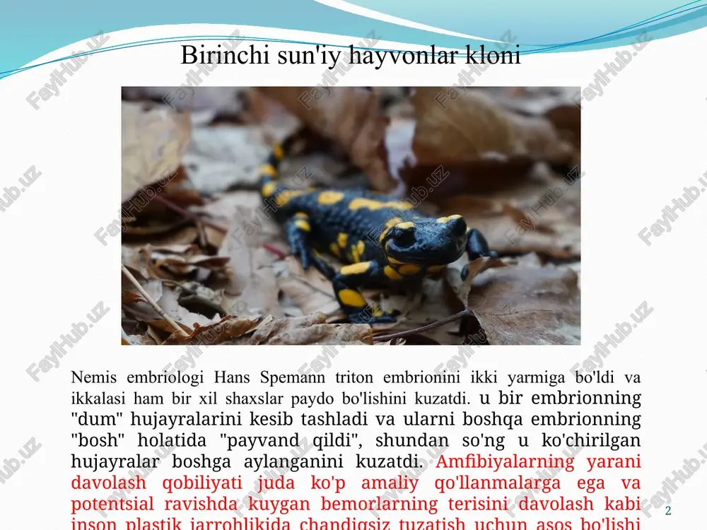 lli hayvon banteng bo'lib, javadan yo'qolib ketish xavfi ostida turgan sigirlar turidir. aqshning massachusets shtatida ikkita klonlangan banteng tug'ildi, biroq ulardan biri sog'lig'i bilan bog'liq muammolar tufayli 2 kundan keyin evtanizatsiya qilinishi kerak edi. ikkinchisi sog'lom bo'lib o'sdi va san-diego hayvonot bog'iga ko'chirildi, u erda oyog'ini sindirishdan oldin 7 yil yashadi va bu uning qurbon bo'lishiga olib keldi. sog'lom banteng hech qanday nasl tug'dirmaganiga hech qanday dalil topmadim. snuppy: birinchi klonlangan it 6 janubiy koreyalik tadqiqotchi vu suk xvang va uning guruhi birinchi klonlangan kuchukchani yetkazib berishga muvaffaq bo‘ldi; snuppi ismli afg'on erkak. ular buni ovulyatsiya qiluvchi urg'ochi itlarning tuxum yo'llaridan to'g'ridan-to'g'ri etuk oositlarni olish orqali amalga oshirdilar. garchi ular bu tajriba it zotlari bo'yicha genetik tadqiqotlarni rivojlantirishga qaratilgan bo'lsa-da, itlarni klonlash uy itlari va boshqa uy hayvonlarini klonlashga bag'ishlangan rivojlanayotgan biznesga aylandi. vu suk xvangning maqolalarida nomuvofiqliklar topildi va keyinchalik u soxta ma'lumotlardan foydalangani ma'lum bo'ldi. vu suk xvan …