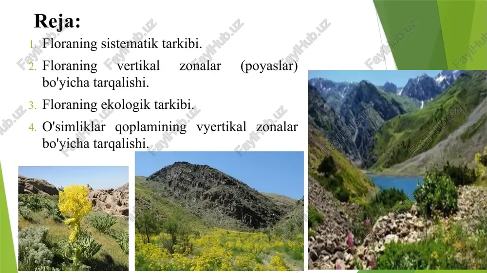 calligonum 74 tur allium 68 tur salsola 49 tur polygonum 44 tur carex 44 tur floramizdagi endemizm uncha yuqori emas 4000 atrofidagi turlarning 39 tasi yoki 9,2% endem turlar hisoblanadi. shuni ta'kidlash joizki, agarda markaziy osiyoning 7000 atrofida florasi bo'lgan bo'lsa, ularning 3336 turi yoki 46% endem xisoblandi. respublikamiz florasining vertikal zonalar (poyaslar) bo'yicha tarqlishini quyidagicha - jami 3737 turdan 1100 ga yaqini cho'lda, 1330 tasi adirda, 1523 tasi tog’da 555 turi yaylov zonasida tarqalgan. ko'rinib turibdiki, eng ko'p turlar tog'larda, eng kamlari yaylov zonalarida tarqalgan. ma'lum bo'lishicha, cho'l zonasida eng ko'p sho'radoshlar,g'alladoshlar,murakkabguldoshlar adirlarda dukkakdoshlar, g'alladoshlar va soyabonguldoshlar o’sadi demak floramizda ko'p yillik o'tchil o'simliklar ko'p ekan, ular chorva mollari uchun muhim ozuqa manbai sanaladilar. ular katta-katta maydonlardagi o'tloqzorlar va pichanzorlardan iborat. xuddi shu guruhga bug'doyiq, qo'ng'irbosh qorabosh, sug'd shuvog’i, oqshuvoq, chair, betega, tabiiy floramizning eng ahamiyatli daraxtlaridan yong'oq, olma, tog' olcha, bodom, pista, do'lana, ziriklar shuni ta'kidlash joizki floramiz …