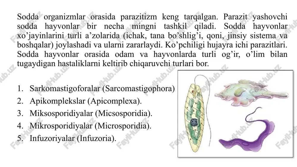 parazit sodda hayvonlar - Page 2