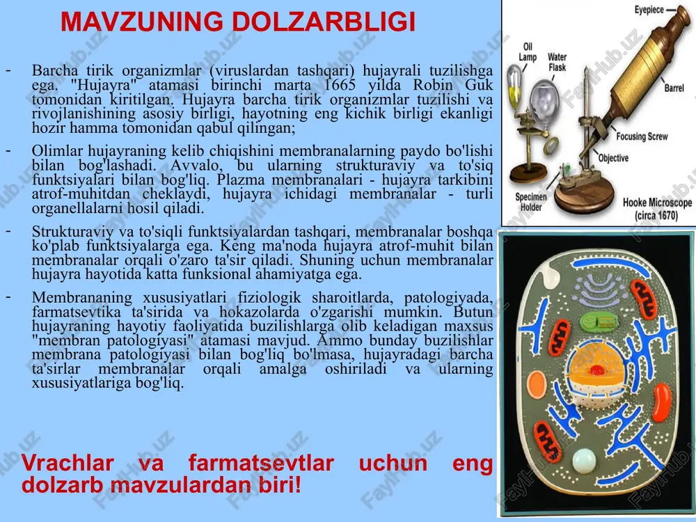 ksiyalari strukturaviy (hujayra va organellalarni cheklaydi, hujayrani bo'linmalarga ajratadi) to'siq (turli moddalarga selektiv o'tkazuvchanlikka ega). himoya (o'rtacha mexanik yuklar va hujayra va atrof-muhit o'rtasidagi osmotik muvozanatning buzilishi ostida hujayrani buzilmasdan saqlaydi). tashish (moddalar membrana orqali hujayra ichiga va tashqarisiga olib boriladi. buning uchun membranada maxsus transport tizimlari - tashuvchilar, kanallar, nasoslar mavjud). axborot (membranada gormonlar uchun retseptorlar va hujayra ichidagi jarayonlarni tartibga solish uchun xizmat qiluvchi vositachilar mavjud, glikoproteinlar boshqa hujayralar va begona oqsillarni taniydigan antijenler bo'lib xizmat qiladi). maxsus funktsiyalar (mushak hujayralarida qisqarish membrana orqali amalga oshiriladi, nerv hujayralarida, membrananing xususiyatlaridan kelib chiqqan holda, ma'lumotlar nerv impulslari shaklida uzatiladi va hokazo). va boshqalar - fermentativ, yopishqoqlik funktsiyasi va boshqalar. membrananing kimyoviy tarkibi lipidlar oqsillar uglevodlar 1.glitserofosfolipidlar 2.sfingofosfolipidlar 3.steroidlar proteinlar (glikoproteinlar yoki proteoglikanlar) va lipidlar (glikolipidlar) bilan kompleksda tashqarida! ular asosan strukturaviy, to'siq funktsiyalarini ta'minlaydi, shuningdek, ishlash uchun zarur bo'lgan konformatsiyadagi oqsillarni "qo'llab-quvvatlaydi". membrananing kimyoviy polaritesini ta'minlash, membrananing axborot funktsiyasida …