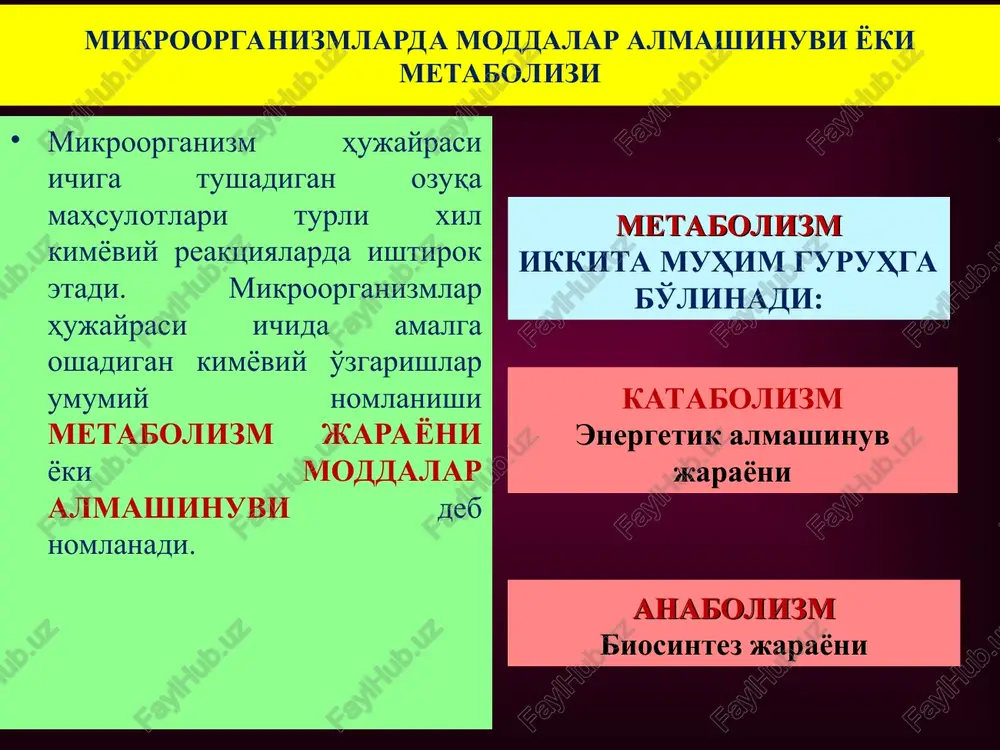 nizmlarning o'sishi uchun suv juda zarur. chunki oziqa moddalari suvda erigan holda bo'lib, ularni bakteriyalar olib, o'z hujayralarini tiklaydi va energiya oladi. oziqa muhitlarida, mikroorganizm hujayrasini qurishi uchun kerak bo'lgan hamma elementlar, mikroorganizm o'zlashtiradigan holatda bo'lishi kerak. suvda erigan oziqa moddalari bakteriya hujayrasiga har xil usullar yordamida kiradi. hujayraga ularning o'tishida hujayra devori bar'erlik vazifasini bajarsa, tsitoplazmatik membrana aktiv tanlovchi rolini o'ynaydi. moddalar hujayraga passiv diffuziya orqali, kontsentratsiyalar farqi (noelektrik moddalar bo'lsa) yoki elektr potentsiallari farqi bo'yicha (tsitoplazmatik membrananing ikki tomonida elektr potentsiallari farqi) mavjud bo'lsa o'tadi. moddalar transporti osonlashgan diffuziya orqali, kontsentratsiya farqi mavjud sharoitda energiya sarflanmay ham yuz berishi mumkin. yana boshqa tipi aktiv transport, moddalar hujayra ichiga kontsentratsiya gradientiga qarshi yo'nalishda ham kiradi. unga atf sarflanadi. bu mexanizm moddalarning muhitdagi kontsentratsiyasi kam bo'lganda ham ishlatiladi. bakteriya hujayrasida permeaza molekulalari bo'lib, ular hujayraga moddalarni olib kirishda xizmat qiladi. birgina e.coli hujayrasida laktozani o'tkazadigan 8000 tacha permeaza molekulasi mavjud. …