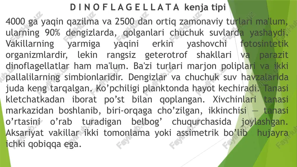 r kiprikli infuzoriyalar va so’ruvchi infuzoriyalar sinflari ga ajratilad tuzilishi. bu sinfga infuzoriyalar tipining ko'pchilik turlari kirib ular ancha yirik xayvonlar. tana kattaligi 30-40 mkm dan 1 mm gacha. kipriklar ular xayotining xamma davrlarida saklanib koladi. tsitoplazmasi ikki katlamga tashki ektoplazma va ichki endoplazmaga anik ajralib turadi. ektoplazma tashki tomondan pellikula bilan koplangan. pellikula 2 qavatli bo'lib, xar kaysi kavat 2 ta membranadan tashkil topgan. infuzoriyalar kipriklarining ultrastrukturasi xivchinlarga o'xshash bo'ladi. kipriklar ektoplazmada joylashgan kinetosom (bazal tanacha) dan boshlanadi. sitoplazmasi ikki qatlamga — tashki ektoplazma va ichki endoplazmaga aniq ajralib turadi. ektoplazma sirtdan elastik va pishiq pellikula bilan qoplangan. pellikula ikki qavatli bo’lib, har qaysi qavati ikkita membranadan tashkil topgan. ikkala qavat oralig’i ochiq bo’ladi. pellikula sirti bir-biri bilan tutashib, turli shakllar hosi qiluvchi yo’g’on tolalar yordamida juda ko’p katakchalarga bo’lingan. katakchalar pellikula sirtini panjaraga o’xshab o’rab turadi. katakchalarning shakli har xil, tufelka infuzoriyasida ular olti burchakli asalari inlariga uxshaydi. …