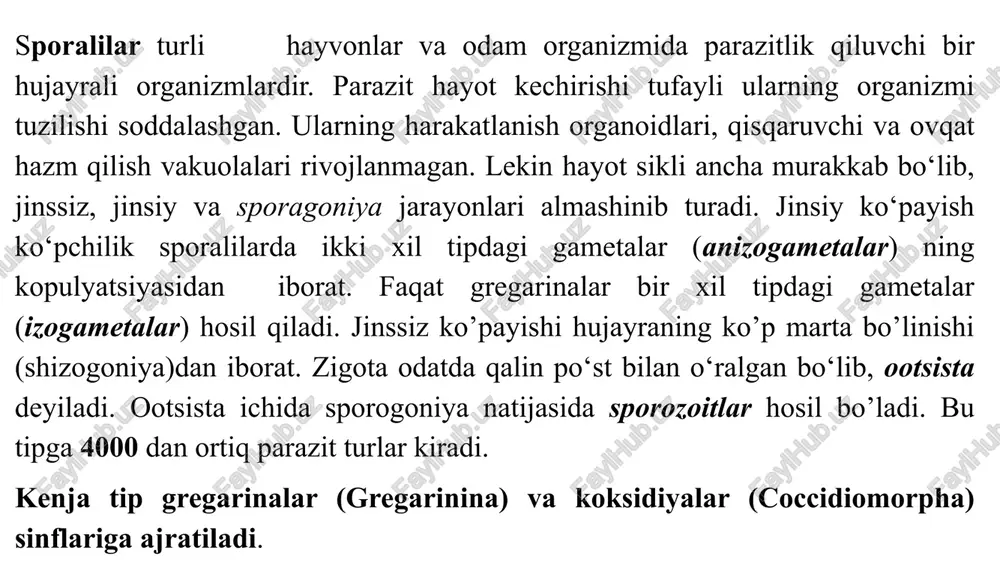 itta sizigiyning har xil individlari (gomontlari)da hosil bo‘lgan gametalar o‘rtasida kopulyatsiya sodir bo‘ladi. gregarinalarda kopulyatsiya bir xil (izogamiya) yoki har xil kattalikdagi gametalar (anizogamiya) tariqasida sodir bo‘lishi mumkin. qo‘shilish natijasida hosil bo‘lgan zigota qalin po‘stga o‘ralib ootsistaga aylanadi. uning ichida endi jinssiz ko‘payish sporogoniya sodir bo‘ladi. ootsista yadrosi ketma-ket bo‘linib, 8 kichik yadroni hosil qiladi. ularning sitoplazmasi ham 8 bo‘lakka ajraladi va sporozoidlarni hosil qiladi. shundan so‘ng hayvonlarga yuqishi mumkin.sporozoidlar ichak devoriga kirib oladi va o‘sadi. ichak devoridan tashqarida qolgan qismi ko‘proq cho‘ziladi. sekinlik bilan epimerit, protomerit va deytomerit hosil bo‘ladi. koksidiyalar (coccidiomorpha) sinfi koksidiyalar (coccidiomorpha) sinflari juda xilma-xil tuzilgan 2400 ga yaqin turni o‘z ichiga oladi. har xil halqali chuvalchanglar, mollyuskalar, bo’g‘imoyoqlilar va umurtqali hayvonlarda parazitlik qiladi. koksidiyalar hujayra ichida parazitlik qilishi bilan gregarinalardan farq qiladi. ko’pchilik turlarining hayot sikli jinssiz va jinsiy ko’payish hamda sporogoniyaning gallanishi bilan sodir bo’ladi. koksidiyalar (coccidiida) turkumi tanasi dumaloq yoki oval shaklda. jinssiz …