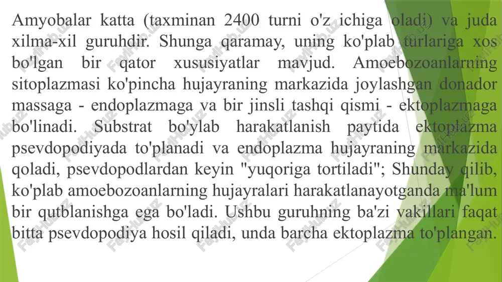 shqaridan kiradi. sitoplazma bo'ylab aylanib, vesikula lizosomalar bilan qo'shilib, ovqat hazm qilish vakuolasini hosil qiladi, unda oziq-ovqat hazm qilinadi. hazm qilinmagan qoldiqlarini chiqarish uchun ovqat hazm qilish vakuolasi plazmalemma bilan birlashadi. ko'pgina turlarda ovqat hazm qilish vakuolasining hujayra membranasi bilan qo'shilishi uning istalgan qismida sodir bo'lishi mumkin, ba'zi vakillarida esa hujayraning orqa uchida bu maqsad uchun doimiy shakllanish - uroid mavjud. sarkodalilar sinfi ularning tanasida qattiq po‘st bo‘lmaydi. sitoplazmasida hosil bo‘lib turadigan o‘simtalar yordamida asta- sekin siljiydi, shuning uchun bunday oyoqlar soxta, ya’ni psevdopodiylar ded ataladi. soxta oyoqlar parraksimon (lobopodiylar), ipsimon (filopodiylar), nursimon (askopodiylar), va to‘rsimon (retikulapodiylar) shaklida bo‘lishi mumkin. amoebina proteus oziq zarrachalarini ikkala tomondan oqib o‘tib qamrab oladi. amoeba diploida turlari jinsiy yo‘l bilan ko‘payadi. parazit amyobalar. odam va hayvonlarda parazitlik qiladi. ular orasida ichburug‘ amyobasi –entamoeba histolyca odamlarning amyobiaz, ya’ni qonli ichburug‘ bilan og‘rishiga sababchi bo‘ladi. kattaligi 20-30 mkm bo‘lib, yo‘g‘on ichakda yashaydi. u sista orqali tarqaladi. …