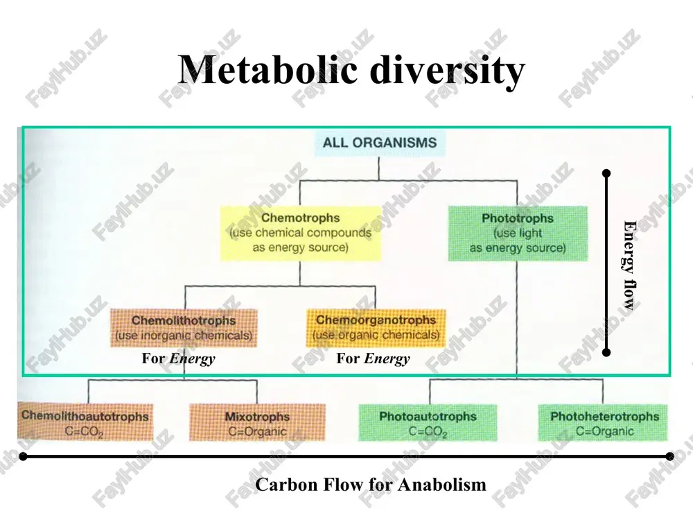 rth as acid rain. sewage treatment plants (water purification): denitrifying bacteria are added to the sewage to convert nitrate to atmospheric nitrogen to remove nitrogen that would otherwise promote the growth of algae significance of denitrification 1. agriculture: soil nitrate that could be fixed to ammonia and assimilated by plants are reduced to atmospheric nitrogen and lost from the soil (however—nitrogen fixing bacteria can restore atmospheric nitrogen to the soil as part of the overall nitrogen cycle) no3-  no2-  no  n2o  n2 nr nr ncor nsor gases to atmosphere significance of denitrification acid rain: atmospheric nitrous oxide is converted to nitric oxide via sunlight. this combined with nitric oxide released via denitrification reacts with ozone to form nitrite that returns to the earth as acid rain. acid rain ozone sunlight h2o no2- nr no3-  no2-  no  n2o  n2 nr nr ncor nsor …