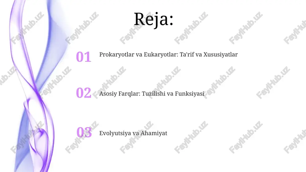 , bakteriyalar va arxeyalar, asosan ikkilamchi bo'linish orqali ko'payadi, bu jarayon genetik materialning nusxasini ko'chirish va hujayrani ikkita bir xil qismga ajratishni o'z ichiga oladi. eukariotlar: ta'rifi va xususiyatlari eukariot hujayralar aniq yadrolarga ega, bu ularning dnksini membranalar bilan o'ralgan holda saqlaydi. bu prokariotlarning dnksini sitoplazmada saqlashidan farq qiladi. eukariotlar o'z ichiga ko'plab membrana bilan o'ralgan organellalarni oladi, masalan, mitoxondriyalar (energiya ishlab chiqarish) va endoplazmatik to'r (oqsillarni tashish va sintez qilish). eukariot hujayralar prokariot hujayralardan kattaroqdir, ularning o'lchami odatda 10 mikrometrdan 100 mikrometrgacha bo'ladi. bu hujayra tuzilishidagi murakkablik bilan bog'liq. prokariotlar va eukariotlar o'rtasidagi asosiy farqlar eukariot hujayralari, odatda, prokaryot hujayralaridan kattaroqdir, diametri taxminan 10-100 mikrometr, prokaryotlarning diametri esa 0.1-5 mikrometr bo'ladi, bu ularning ichki tuzilmalarining murakkabligi bilan bog'liq. prokaryotlar, masalan, bakteriyalarda, yadro yo'q, dnk esa sitoplazmada joylashgan, eukariotlarda esa dnk yadro ichida membranalar bilan o'ralgan, bu farq asosan o'lchamga bog'liq. eukariot hujayralarida mitoxondriya va xloroplast kabi membrana bilan o'ralgan …