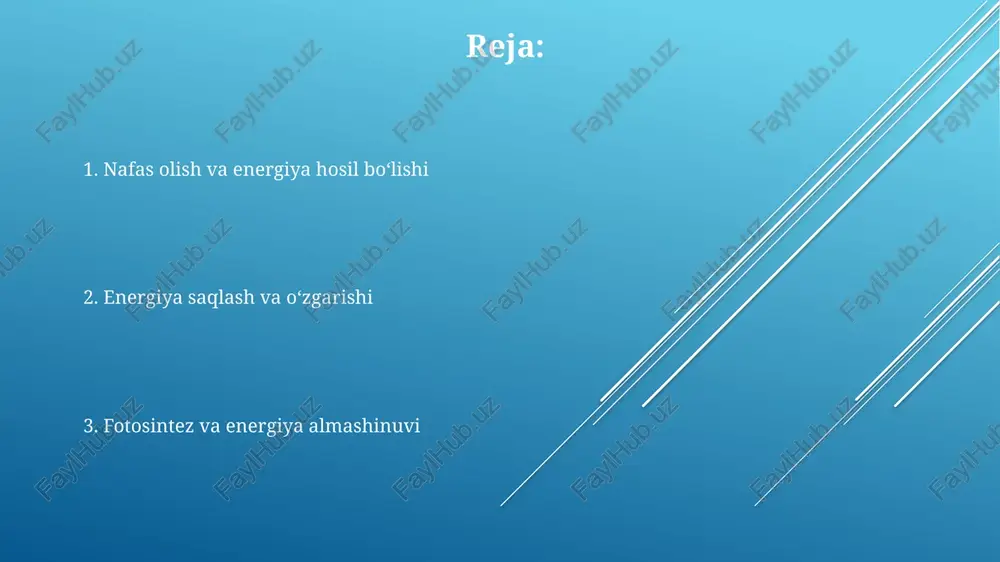 isoblanadi. fotosintezning bu bosqichi yorug'lik energiyasini kimyoviy energiyaga o'tkazishni ta'minlaydi. stress sharoitlarida energiya almashinuvi stress sharoitida o'simliklarning fotosintez samaradorligi 20-30% gacha pasayishi mumkin, bu atf va nadph sintezining kamayishiga olib keladi. suv stressi atpaz fermentlarining faolligini 50% gacha kamaytiradi, bu esa proton gradienti hosil bo'lishini va atp sintezini sekinlashtiradi. yuqori haroratli stress o'simlik hujayralarida oksidlovchi stressni kuchaytiradi, bu esa ros (reactive oxygen species) miqdorining oshishi va 10-15% gacha mitoxondrial nafas olish zanjiri faolligining pasayishiga olib keladi. qorong'u reaksiyalar (calvin sikli) calvin siklining regeneratsiya bosqichida, 5 molekula glikolaldehid-3-fosfatdan 3 molekula ribuloza-1,5-bifosfat qayta hosil bo'ladi, bu siklning davomiyligini ta'minlaydi. calvin sikli 3 bosqichdan iborat: karbonat angidridning fiksatsiyasi, kamaytirish va regeneratsiya, bu jarayonlarda 18 atp va 12 nadph molekulalari sarflanadi. rubisco fermenti calvin siklining birinchi bosqichida co2 ni 5-uglerodli ribuloza-1,5-bifosfatga biriktirib, 2 ta 3-uglerodli 3-fosfogliserat hosil qiladi. o'simliklardagi energiya almashinuvi bo'yicha tadqiqotlar o'simliklardagi fotosintez jarayonida 30 dan ortiq turli xil fermentlar ishtirok etadi …
