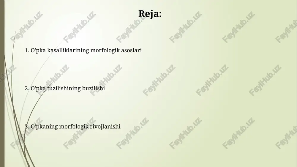 ini ta'minlaydi. o'pka epiteliy hujayralari, shu jumladan i va ii tipli pnevmositlarning differentsiatsiyasi 16-24 haftalik davrda sodir bo'lib, o'pka to'qimasining to'liq shakllanishiga olib keladi. o'pkaning tug'ma nuqsonlari o'pka kistalari, suyuqlik bilan to'lgan bo'shliqlar, tug'ma anomaliyalar sifatida uchraydi va ularning hajmi bir necha millimetrdan bir necha santimetrgacha o'zgarishi mumkin, bu esa nafas olish qiyinchiliklariga sabab bo'lishi mumkin. o'pka agenesisining 1000 ta tug'ilishdan 1 tasida uchrashi va bu holatda o'pkaning butunlay yo'qligi kuzatiladi. alveolalar rivojlanishi surfaktant ishlab chiqarishining yetishmasligi yoki disfunksiyasi, prematüre tugʻilishda keng tarqalgan, alveolalar kollapsga (atelektazga) olib kelishi va nafas olish distres sindromiga (rds) sabab boʻlishi mumkin. alveolalar devorining yupqalashuvi va kapillyarlar bilan yaqin aloqasi gaz almashinuvi samaradorligini oshiradi, bu jarayon tugʻilishdan keyin bir necha yil davom etadi va toʻliq rivojlanishi 8 yoshga toʻgʻri keladi. o'pka kistalari va kistik fibroz kistik fibroz bilan og'rigan bemorlarda o'pka to'qimalarining 80% gacha kistik o'zgarishlarga uchrashi mumkin, bu esa nafas olish funksiyasining keskin yomonlashishiga …