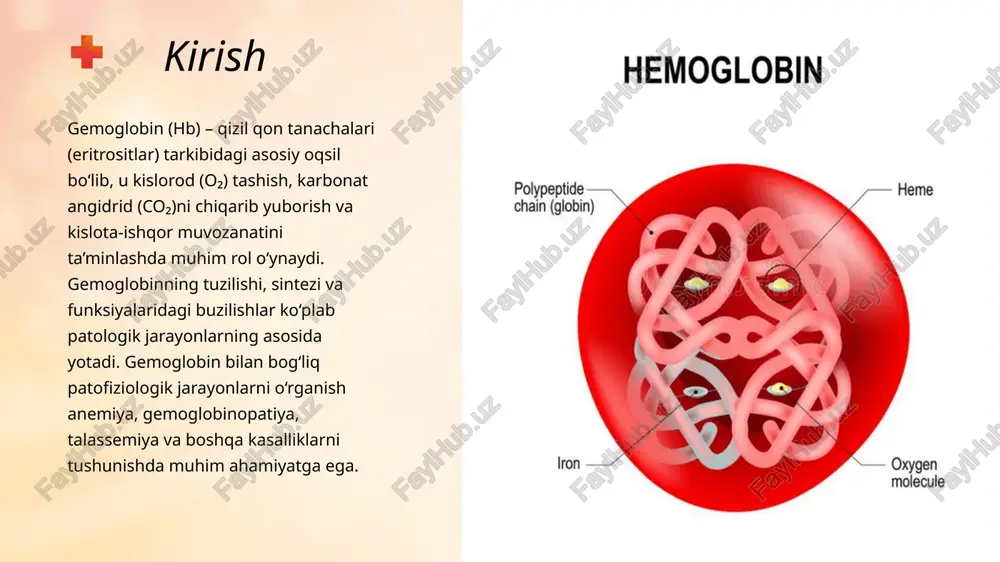 dlanishi natijasida gemoglobinning kislorod tashish qobiliyati yo‘qoladi. karbonoksigemoglobin – co (uglerod oksidi) gemoglobinga kisloroddan 200 marta kuchliroq bog‘lanib, to‘qimalarda og‘ir gipoksiya chaqiradi. irsi gemoglobinopatiyalar: sikl hujayrali anemiya – β-zanjiridagi genetik mutatsiya natijasida hbs hosil bo‘ladi. eritrositlar o‘z shaklini o‘zgartirib, gemolizga moyil bo‘ladi. gemoglobin strukturasining buzilishi (gemoglobinopatiyalar) gemolitik anemiyalar – eritrositlarning erta parchalanishi oqibatida gemoglobin tezda erkin ajralib chiqadi. sariqlik – gem katabolizmi kuchayganda bilirubin miqdori ortadi. gemoglobinning parchalanishi buzilishlari to‘qima gipoksiyasi – kislorod tashish qobiliyatining pasayishi natijasida hujayralar yetarli o₂ olmaydi. qon gazlarining buzilishi – co₂ transporti izdan chiqadi, respirator asidoz yuzaga keladi. kislota-ishqor muvozanati buzilishi – ph pasayishi yoki oshishi. klinik belgilar – zaiflik, bosh aylanishi, rangparlik, nafas qisishi, yurak urish tezlashishi. patofiziologik oqibatlar 8 gemoglobin organizmning nafas olish zanjirida asosiy o‘rin tutadi. uning tuzilishi, sintezi va funksiyasidagi buzilishlar anemiya, gipoksiya va ko‘plab kasalliklarning asosida yotadi. patofiziologik mexanizmlarni chuqur o‘rganish kasalliklarni aniqlash va samarali davolashda muhim ahamiyatga ega. xulosa …