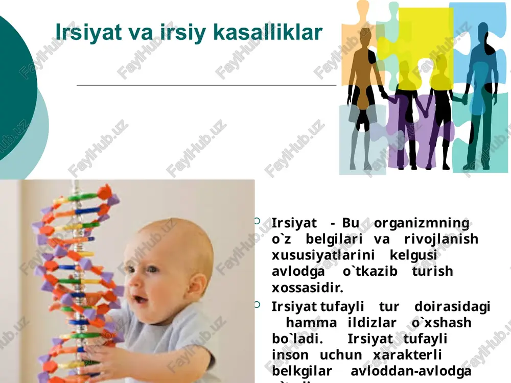 o`p belgilari irsiy kasaslliklarini nasldan-naslga o`tib borishini aniqlash mumkin. odamga ba`zi qobiliyatlarning rivojlanishi irsiy omillarga bog`liq. masalan: moddalar almashinuvining ba`zi kasalliklari: qandli diabetning nasldan-naslga o`tishi, genetik metod bilan aniqlangan. bu kasallik me`da osti bezi faoliyatining buzilishi natijasida insuliy garmonini qonga chiqarolmay qoladi. keyin qondagi qand miqdori ko`payib odam organizmidagi moddalar almashinuvida chuqur o`zgarishlar ro`y beradi. irsiy belgilardan jingalak sochlik, ko`zining moviy bo`lishi, soch rangining malla yoki qora bo`lishi, qo`y ko`z, sepkillar, pakanalik, bo`yning uzun bo`lishi va boshqa belgilar avloddan-avlodga o`tadi. irsiy kasalliklardan tug`ma kar, gunglik, asab-ruxiy kasalliklar – shizofreniya, aqliy zaiflik, oligofreniya, epelepsiya, qon kasalliklari – gemofeliya, tug`ma trombositlarning yetishmasligi, verlgof kasalligi, daun kasaslligi, kleyfenter sindromi, shereshefkiy – terner kasalliklari avloddan-avlodga o`tadi. odamda egzaklar ikki xil bo`ladi. ayrim xollarda ikkita yoki uchta tuxum hujayralari urug`lanadi. bunda xuddi egizakmas yoki aka-uka, opa-singillardek bir-biriga o`xshash bir xil yoki har xil jinsdagi bolalar to`g`iladi. bitta tuxum hujayradan ikkita embrion paydo bo`lsa, bir tuxumdan …