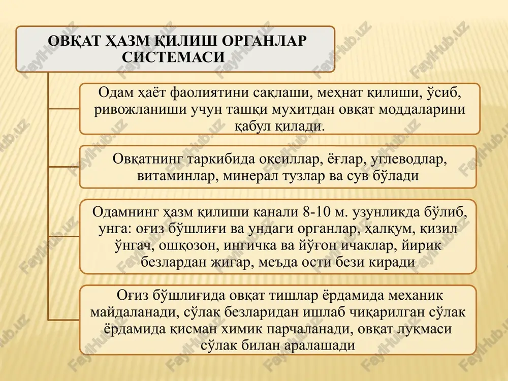 a sovuq yoki juda issiq ovqatlarni iste'mol qilishi, tishi bilan qattiq narsalarni maydalashi mumkin emas. bolalarning 11-12 yoshida ovqat moddalariga bir sutkada 200 sm3 ovqatdan tashqari vaqtida 400-600 sm3 so'lak ajraladi ovqatning oshqozonda hazm bo'lishi oshqozon katta odamlarda noksimon shaklida bo'ladi. uning kirish va chiqish qismlari, tubi, katta, kichik aylanalari ajratiladi, oshqozonning kirish va chiqish qismlarida sfinteri bor. oshqozon shillik, muskul, seroz qavatlaridan tuzilgan. oshqozon shillik qavatining ostida 14 mln. oshqozon bezlari joylashgan bo'ladi. oshqozonning xajmi katta odamlarda o'rta hisobda 2,5-3 dm3 etadi. ularda bir sutkada 1,5-2 dm3 oshqozon shirasi ishlab chiqariladi. oshqozon shirasining 99% suv, 0,3-0,4% organik modda va tuzlardan iborat. oshqozon shirasi tarkibida 0,3-0,4% xlorid kislota saqlanadi. ovqatlangandan 20-30 minutdan so'ng oshqozon to'lqinsimon qiskarib ovqat oshqozon shirasi bilan aralashadi. katta odamlarda aralash ovqat oshqozonda 3-4 soatdan so'ng 12 barmoqli ichakka o'tadi. sut va sutli ovqatlar oshqozondan o'n ikki barmoqli ichakka tez o'tadi oshqozonning yosh xususiyati bolaning yoshi ortishi …