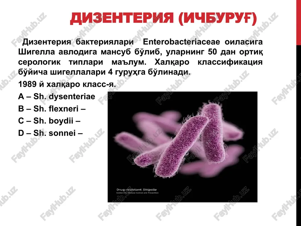 nida esa ulardan endotoksin ham ajralib chiqadi. dizenteriya bakteriyalarining toksinlari neyrotrop va enterotrop xususiyatiga ega, yani nerv sistemasi va ichak shillik kavatini zararlaydi, grigorev-shiga bakteriyalarining virulentligi juda yuqori hisoblanib, qolganlari esa unga virulentli emas. chidamliligi shigellalar tashqi muhit sharoitiga qarab bir necha kundan bir oygacha tirik saqlanadi. sut va boshqa sutli mahsulotlarda shigellalar tirik saqlanibgina qolmay balki tez sur'at bilan ko'paya oladi ham. oziq-ovqat mahsulotlaridan non, go'sht mahsulotlarida bir necha sutka, sutda 30 kun va undan ortiq, okava suvlarda bir necha soatdan 5-9 kungacha saqlanadi. ifloslangan idishlarda, xo'l kiyimlarda ular yashash xususiyatini haftalab va xatto oylab, tuproqda 3 oygacha saqlanib qolishi mumkin. ular sovuq haroratda va quritilganda xalok bo'lmaydi. 600s issiqlikda 30 minutdan so'ng, 1000s da darxol xalok bo'ladi. quyosh nuri ham ularni o'ldiradi. dezinfektsiyalovchi moddalar gipoxlorit, xloramin, lizol va boshqalar bu bakteriyalarni bir necha minut ichida xalok qiladi. hayvonlar uchun patogenligi tabiiy sharoitda dizentiriya bilan xayvonlar kasallanmaydi. shigellalar bilan …