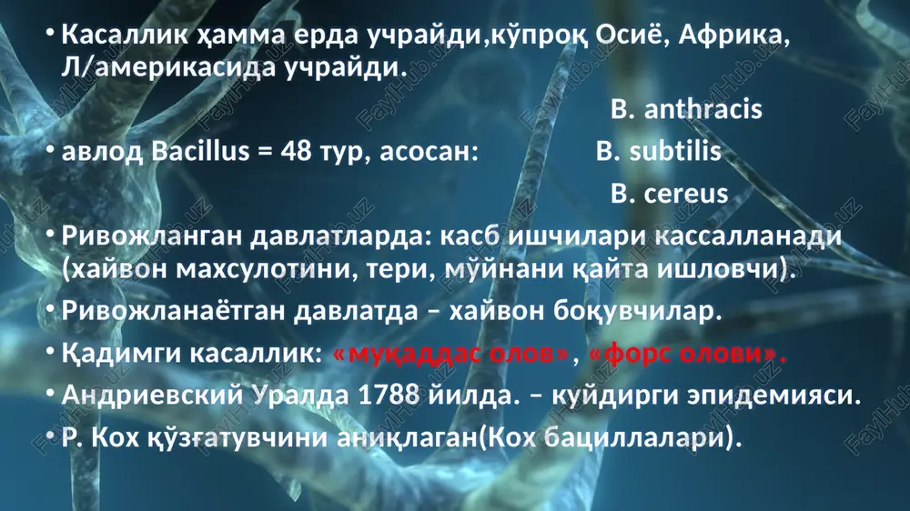 ptonlaydi. vodorod sulfiti va ammiak xosil qiladi, nitratni nitritga tiklaydi, kraxmalni gidrolizlaydi. eritrotsitlarni gemolizga uchratmaydi. kuydirgi bakteriofagi ta'sirida lizisga uchraydi. kuydirgi batsillasi diastaza, peroksidaza, lipaza fermentlarini ajratadi. toksigenligi. v antharcis oqsil tabiatli ekzotoksin ishlab chiqaradi, 1) o'limga olib keluvchi yoki o'lim omilini saklaydi. 2 ) shish chaqiradigan yoki edematoz. 3) protektiv yoki ximoya omiliga ega bulib, yutsoridagi ikki omil ta'sir qilmaydi. bu toksinlarni sichtson toksinlari deyiladi. chunki sichqonlar bu toksinga juda sezgir. antigenligi. kuydirgi batsillasi ikkita antigen: 1 ) yuqori xaroratga chidamli somatik antigenga ega. bu antigenga qarshi antitelo xosil bulmaydi. uzoq vaqt murdalarda va kulturalarda saklanadi. 2 ) kapsula antigeni zararli emas. chidamliligi. kuydirgi kuzgatuvchisi vegetativ shaklida kam chidamli. 100°s xarorat ta'sirida shu zaxoti, 55—60°s ta'sirida 30—40 daqiqadan sung o'ladi. kuydirgi quzgatuzchisining kapsulasi tashqi muxitga chidamli. xayvon murdalari kuzatilganda bakteriyalar chirigan bulishiga qaramasdan bo'sh kapsulani aniklash mumkin. kuydirgi batsillalarining sporalari chidamli: qaynatganda 15—20 daqiqadan so'ng, 120°s xaroratli avtoklavda 20 …