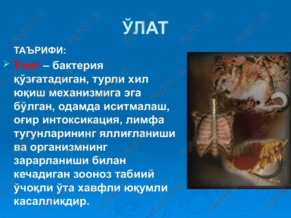 oning dengizga yaqin bo'lgan 87 port shaharlarida ro'yxatga olinib, 12 mln.dan ortiq kishi halok bo'lgan. o'latning bo'lib o'tgan pandemiyalarida 200 mln.ga yaqin kishi vafot etgan. tarixiy ma'lumotlar va geografik tarqalishi (davomi) d.k.zabolotniy o'lat tabiiy o'choqli kasallik ekanligi to'g'risidagi gipotezani ilgari surgan bo'lsa, uchinchi pandemiya davrida, aniqrog'i, 1897 yilda frantsuz olimi aleksandr yersin va uning yaponiyalik hamkasbi shibasaburo kitazatolar bemor odam va kalamushdan o'lat kasalligining qo'zg'atuvchisini aniqlagan. tarixiy ma'lumotlar va geografik tarqalishi (davomi) ogata va simonlar 1898 yilda o'lat kasalligi tarqalishida burgalarning roli borligini e'tirof etishgan. d.k.zabolotniy va l.m.isaevlar 1911 yilda cho'ldan tutib olib kelingan kemiruvchi (sug'ur) dan, i.a.deminskiy 1912 yilda yumronqoziqdan o'lat qo'zg'atuvchisini ajratib olgan. bokot va martinlar o'lat qo'zg'atuvchisi yuqqan burgadan «o'lat bloki» fenomenini aniqlashga muvaffaq bo'lgan. tarixiy ma'lumotlar va geografik tarqalishi (davomi) oxirgi yillarda dunyoda o'lat kasalligining epidemiyasi kuzatilmayapti,bugungi kunda bu kasallik faqat sporadik (tarqoq) holatda cho'l va tog' tabiiy o'choq hududlarida ro'yxatga olinmoqda. respublikamizda o'lat kasalligining oxirgi …
