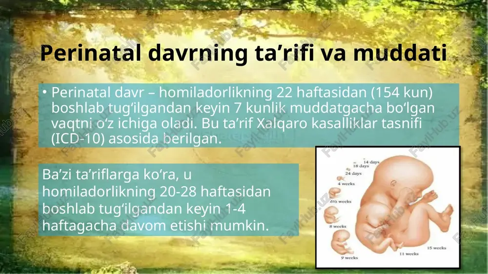 moslashadi va mustaqil hayotga oʻtadi. nafas olish tizimi: tugʻilganda oʻpka ochiladi, amniotic suyuqlik chiqariladi va birinchi nafas bilan kislorod taʼminoti boshlanadi. bu jarayon asfiksiya (kislorod etishmovchiligi) xavfini oshiradi yurak-qon tomir tizimi: qon aylanishi oʻzgaradi – homila qon tomirlari (ductus arteriosus) yopiladi, yurakning chap va oʻng qismlari mustaqil ishlay boshlaydi. metabolik moslashuvlar: energiya sarfi kamayadi, kislorod darajasi oshadi. miya kislorodning 20% ini isteʼmol qiladi, ammo qon-miya toʻsigʻi yetarli emas, shuning uchun bilirubin kabi moddalar miyaga zarar yetkazishi mumkin. xavf omillari va asoratlar asosiy xavflar: erta tugʻilish (37 haftadan oldin), past vazn, tugʻilish asfiksiyasi, infeksiyalar. bu shizofreniya, autizm va bipolyar buzilish xavfini oshiradi. tugʻilish usuli: sezariya (elektiv) bipolyar buzilish xavfini oshiradi, ammo sababiy bogʻlanish zaif. kompleks holatlar (qon ketishi bilan sepsis) va tez rivojlanish xususiyati mavjud. oldindan aytib boʻlmaydiganlik tufayli doimiy monitoring zarur. perinatal oʻlimlarning 60% dan ortigʻi past vazn va asfiksiyaga toʻgʻri keladi xulosa perinatal davr – inson rivojlanishidagi muhim bosqich …