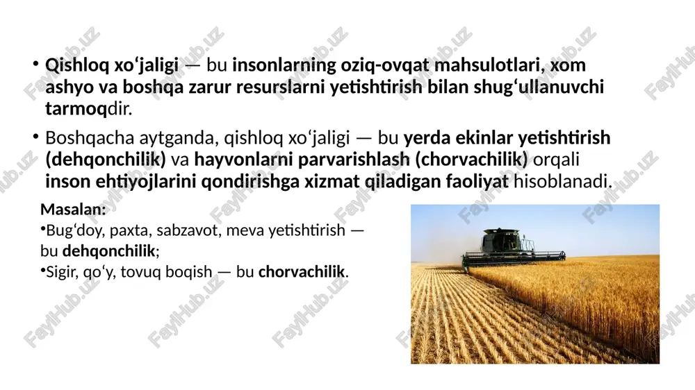 u sababli, tomchilatib sugʻorish texnologiyalari joriy etilmoqda. 4. islohotlar va modernizatsiya so‘nggi yillarda hukumat tomonidan bir qator islohotlar amalga oshirilmoqda: paxta-gʻalla majburiy ekin tizimi qisqartirilib, bozor tamoyillariga o‘tildi. fermer xoʻjaliklari, dehqon xoʻjaliklari va klaster tizimi shakllandi. agrotexnologiyalar – dronlar, sun’iy yo‘ldosh monitoringi, raqamli boshqaruv joriy etilmoqda. kooperatsiyalar va agroklasterlar orqali mahsulotni qayta ishlash, saqlash, eksportni kuchaytirish yo‘lga qo‘yildi. yosh fermerlar va ayollar tadbirkorligi dasturlari amalga oshirilmoqda. 5. eksport va xalqaro hamkorlik o‘zbekistonning asosiy eksport mahsulotlari: meva-sabzavotlar, uzum, quritilgan mevalar, paxta tolasi, ip-gazlama, shakar lavlagi mahsulotlari. asosiy eksport yo‘nalishlari: rossiya, xitoy, qozog‘iston, turkiya, yevropa ittifoqi mamlakatlari. so‘nggi yillarda “made in uzbekistan” brendi ostida ekologik toza mahsulotlar eksporti oshmoqda. 6. dolzarb muammolar suv tanqisligi va iqlim o‘zgarishi. yer degradatsiyasi (sho‘rlanish, eroziya). texnikalar eskirganligi va yangi texnologiyalar yetishmasligi. kredit va moliyaviy resurslarga kirish qiyinligi. mehnat migratsiyasi – yoshlarning shaharga yoki xorijga ketishi. hosildorlik pastligi ba’zi hududlarda saqlanib qolmoqda. 7. yangi yo‘nalishlar organik dehqonchilik …