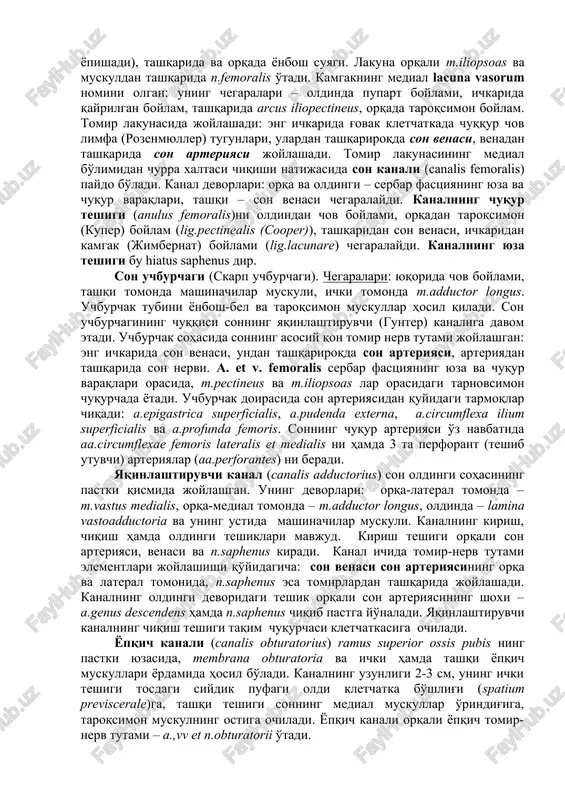 iyalari hamda r.femoralis n.genitofemoralis, o'tib teri ostiga chiqadi; sonning katta teri osti venasi esa bu teshik orqali kirib son venasiga qo'yiladi. serbar fastsiyaning chuqur varag'i yonbosh-bel va taroqsimon muskullarning ustini qoplab, yuqorida katta tos bo'shlig'iga davom etadi. chov boylami bilan yonbosh va qov suyaklari orasida kamgak joy bo'lib, u orqali tos bushlig'i son bilan tutashadi. kamgakning lateral qismi lacuna musculorum deb yuritiladi: uning chegaralari – oldinda pupart boylami, ichkarida arcus iliopectineus (chov boylamidan boshlanib tos suyagiga yopishadi), tashqarida va orqada yonbosh suyagi. lakuna orqali m.iliopsoas va muskuldan tashqarida n.femoralis o'tadi. kamgakning medial lacuna vasorum nomini olgan: uning chegaralari – oldinda pupart boylami, ichkarida qayrilgan boylam, tashqarida arcus iliopectineus, orqada taroqsimon boylam. tomir lakunasida joylashadi: eng ichkarida g'ovak kletchatkada chuqqur chov limfa (rozenmyuller) tugunlari, ulardan tashqariroqda son venasi, venadan tashqarida son arteriyasi joylashadi. tomir lakunasining medial bo'limidan churra xaltasi chiqishi natijasida son kanali (canalis femoralis) paydo bo'ladi. kanal devorlari: orqa va …