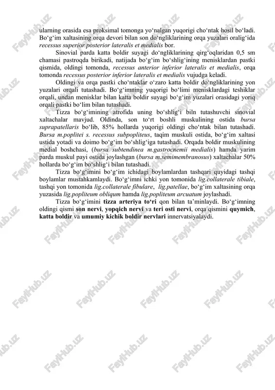 birikadi. lig.cruciatum posterius son medial do‘ngligining tashqi yuzasidan boshlanib, area intercondylaris posterior ga birikadi. bo‘g‘imning sinovial xaltasi yuqorida son suyagining distal epifizini deyarli butunlay qoplaydi (faqat lateral va medial tepachalar qoplanmasdan qoladi) va oldinda bo‘g‘im tog‘ayi chekkasidan yuqoriga 5 sm gacha davom etib, so‘ngra son to‘rt boshli muskuli payining orqa yuzasiga o‘tishi natijasida yuqori cho‘ntak (recessus superior) ni hosil qiladi. sinovial parda bo‘g‘im fibroz qobig‘ining ichki yuzasini qoplab, pastda katta boldir suyagiga, oldinda esa tizza qopqog‘ining ichki, bo‘g‘im yuzasini qoplaydi. bundan tashqari u menisklarning tashqi chetlariga ham birikib ketgan. natijada bo‘g‘im bo‘shlig‘i menisklardan yuqorida va pastda joylashgan bo‘limlarga ajraladi. sinovial pardaning suyaklarga o‘tish joylarida cho‘ntaklar vujudga keladi. son suyagi do‘ngliklarining yon yuzalariga o‘tish joyida medial tomonda recessus superior anterior medialis, lateral tomonda recessus superior anterior lateralis, ularning orasida esa proksimal tomonga yo‘nalgan yuqorigi cho‘ntak hosil bo‘ladi. bo‘g‘im xaltasining orqa devori bilan son do‘ngliklarining orqa yuzalari oralig‘ida recessus superior posterior lateralis …
