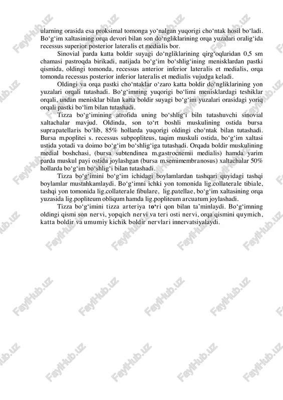 birikadi. lig.cruciatum posterius son medial do‘ngligining tashqi yuzasidan boshlanib, area intercondylaris posterior ga birikadi. bo‘g‘imning sinovial xaltasi yuqorida son suyagining distal epifizini deyarli butunlay qoplaydi (faqat lateral va medial tepachalar qoplanmasdan qoladi) va oldinda bo‘g‘im tog‘ayi chekkasidan yuqoriga 5 sm gacha davom etib, so‘ngra son to‘rt boshli muskuli payining orqa yuzasiga o‘tishi natijasida yuqori cho‘ntak (recessus superior) ni hosil qiladi. sinovial parda bo‘g‘im fibroz qobig‘ining ichki yuzasini qoplab, pastda katta boldir suyagiga, oldinda esa tizza qopqog‘ining ichki, bo‘g‘im yuzasini qoplaydi. bundan tashqari u menisklarning tashqi chetlariga ham birikib ketgan. natijada bo‘g‘im bo‘shlig‘i menisklardan yuqorida va pastda joylashgan bo‘limlarga ajraladi. sinovial pardaning suyaklarga o‘tish joylarida cho‘ntaklar vujudga keladi. son suyagi do‘ngliklarining yon yuzalariga o‘tish joyida medial tomonda recessus superior anterior medialis, lateral tomonda recessus superior anterior lateralis, ularning orasida esa proksimal tomonga yo‘nalgan yuqorigi cho‘ntak hosil bo‘ladi. bo‘g‘im xaltasining orqa devori bilan son do‘ngliklarining orqa yuzalari oralig‘ida recessus superior posterior lateralis …