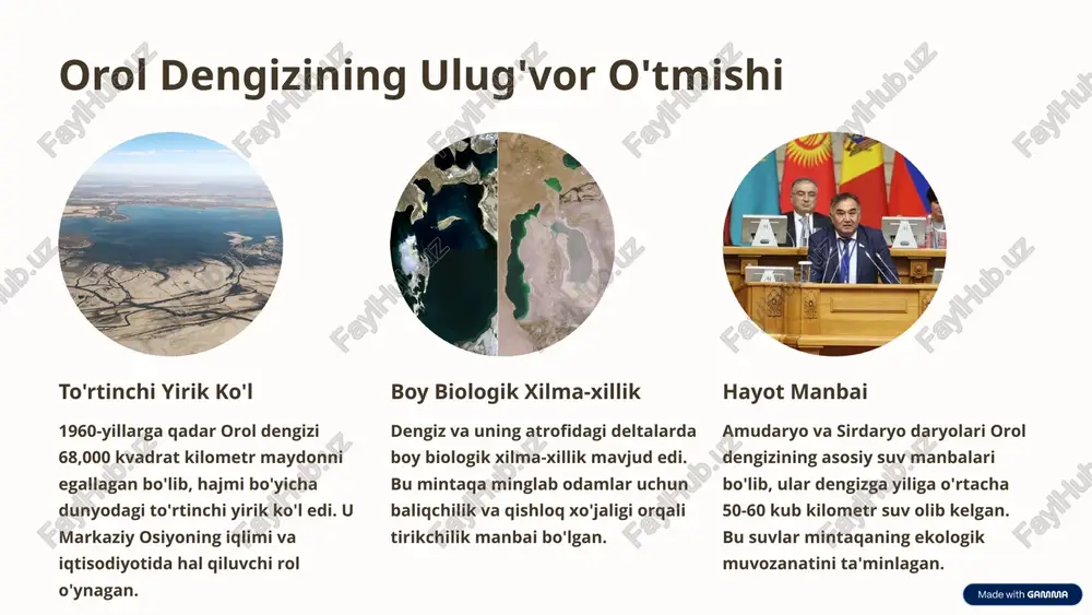ekologik oqibatlari dahshatli. orolqum cho'lidan ko'tarilayotgan tuz va zaharli kimyoviy moddalar aralashmasi nafaqat markaziy osiyo, balki butun dunyo iqlimiga ta'sir qilmoqda. tuz va qum bo'ronlari qurigan tubdan ko'tarilayotgan millionlab tonna tuz, pestitsidlar va kimyoviy moddalar shamol orqali uzoq masofalarga tarqalib, qishloq xo'jaligi yerlari, aholi salomatligi va mintaqaviy iqlimga zarar yetkazmoqda. iqlim o'zgarishi dengizning yo'qolishi mintaqaviy iqlimni keskin o'zgartirdi. yozlar issiqroq va quruqroq, qishlar esa sovuqroq bo'ldi, bu esa qishloq xo'jaligini yanada qiyinlashtirdi. biologik halokat baliq turlari deyarli butunlay yo'qoldi, bu esa mahalliy baliqchilik sanoatining qulashiga olib keldi. ko'plab qushlar va sutemizuvchilar yashash joylarini yo'qotdi. 4 ijtimoiy-iqtisodiy inqiroz orol dengizining qurishi nafaqat ekologik, balki mintaqadagi aholi uchun jiddiy ijtimoiy va iqtisodiy muammolarni keltirib chiqardi. minglab odamlar o'z tirikchilik manbalarini yo'qotdi. baliqchilik sanoatining qulashi va ishsizlikning oshishi. suv tanqisligi va ichimlik suvi sifatining yomonlashuvi. tuz va kimyoviy moddalar ta'siridan kelib chiqqan nafas olish yo'llari kasalliklari va saraton kabi sog'liq muammolari. aholi migratsiyasi …