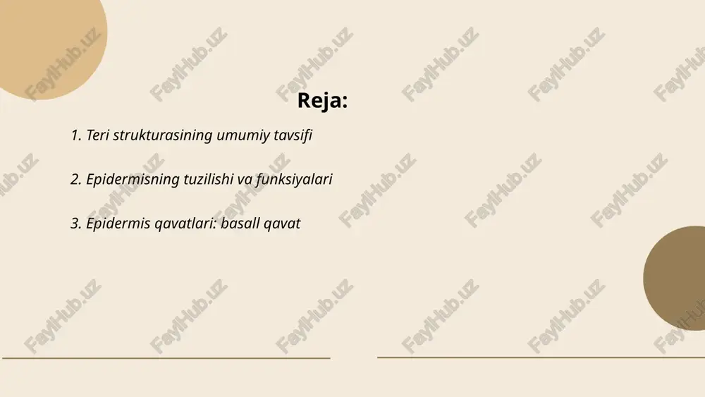 lashgan bo'lib, dermis bilan chegaradosh. bu qatlamda, odatda, keratinositlar mavjud bo'lib, ular yuqoriga ko'tariladi va epidermisning boshqa qatlamlariga o'tadi. yangi hujayralar hosil bo'lishi tufayli teri doimiy yangilanib boradi. bazal qatlamda, melanotsitlar, pigment ishlab chiqaruvchi hujayralar ham mavjud bo'lib, ular teri rangini belgilashda muhim rol o'ynaydi. ... t.me/slaydai_bot epidermis qavatlari: tiklaydigan qavat epidermisning tiklaydigan qavati, ya'ni bazal qavat, terining eng ichki qismi bo'lib, hujayralarning doimiy ravishda bo'linib, yangi hujayralar hosil qilish jarayonini amalga oshiradi. bu qavatda mitotik faoliyat yuqori bo'lib, keratinositlar hosil bo‘ladi va ular yuqoriga ko‘tarilib, boshqa qavatlarga o'tadi. melanotsitlar ham bu qavatda joylashgan bo‘lib, ular pigment melanin ishlab chiqaradi, bu teri rangini shakllantiradi va quyosh nurlarining zararidan himoya qiladi. bazal qavatda hujayralar bir necha haftada yangilanadi, bu esa terining tiklanishi va yangilanishini ta’minlaydi. teri va soch tuzilishi. epidermis va derma qavatlari. raxmatova roziya terining innervatciyasi. terida sezuvchi nerv oxirlari juda ko’p bo’lib, u yirik retceptor maydon hisoblanadi. terining nerv …